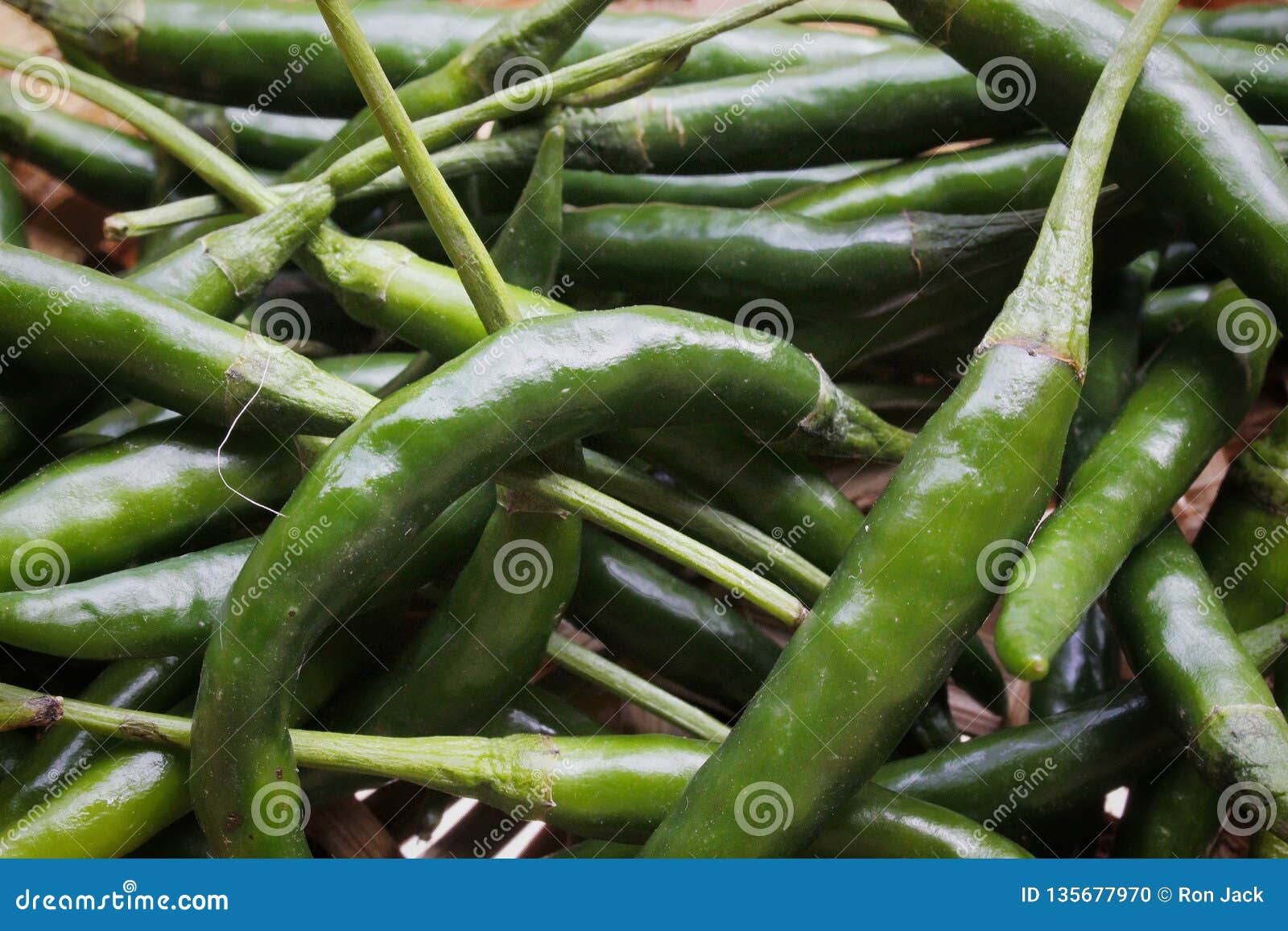 Green chilli so fresh stock photo. Image of green, fresh 135677970