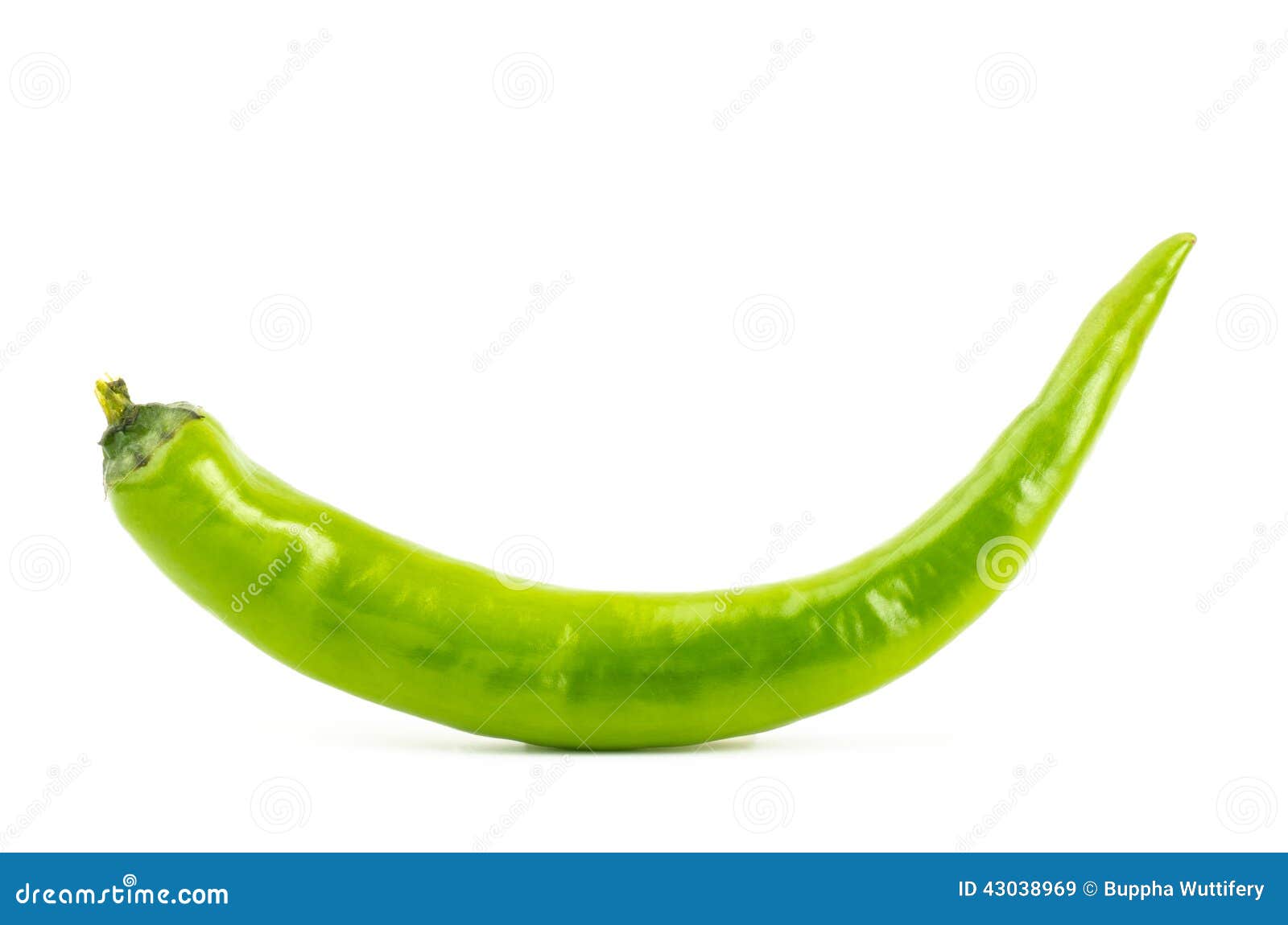 Green chilli stock image. Image of fiber, vitamin, capsicum - 43038969