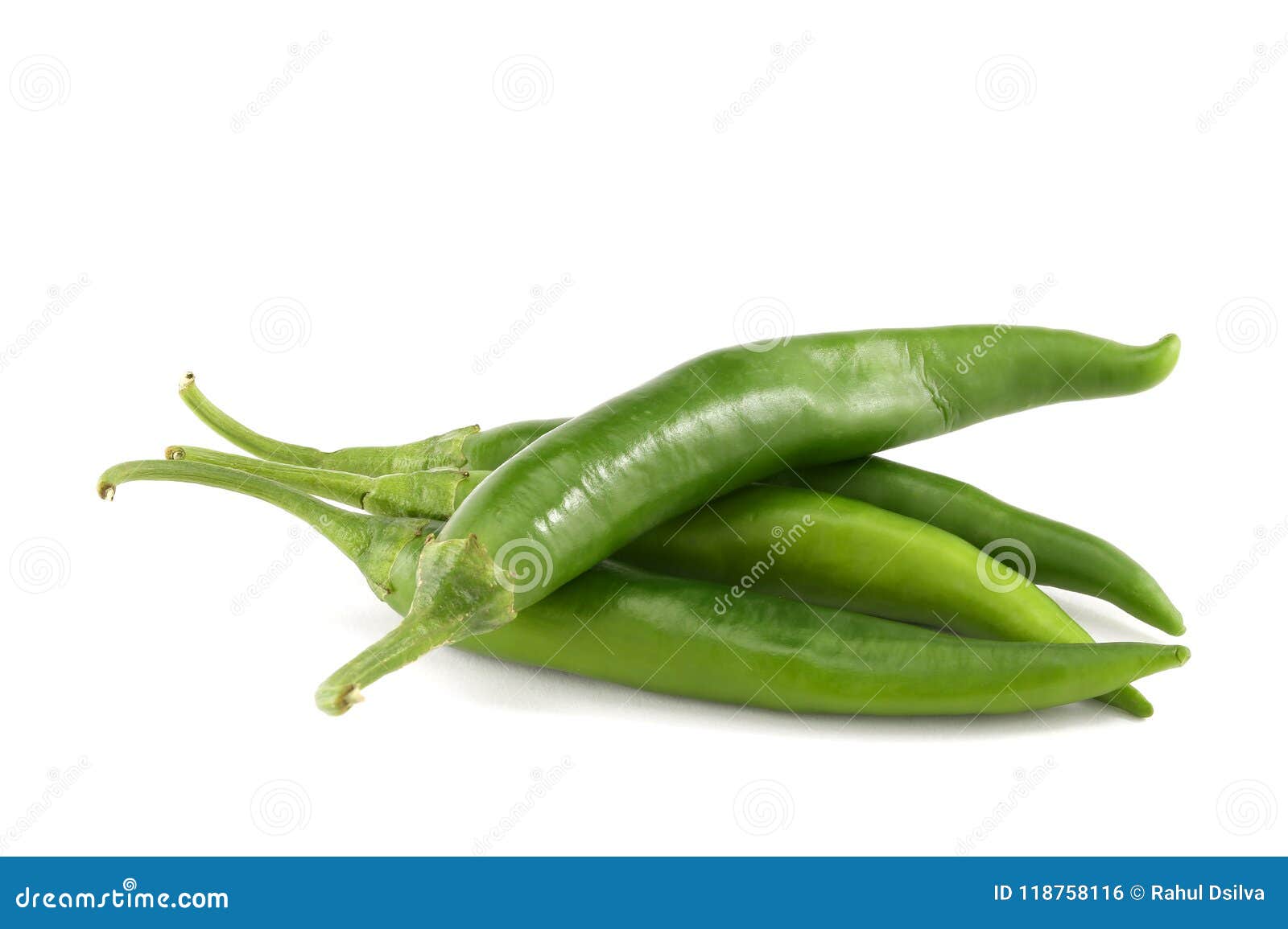 Green Chilli Plant Stock Image | CartoonDealer.com #190623037