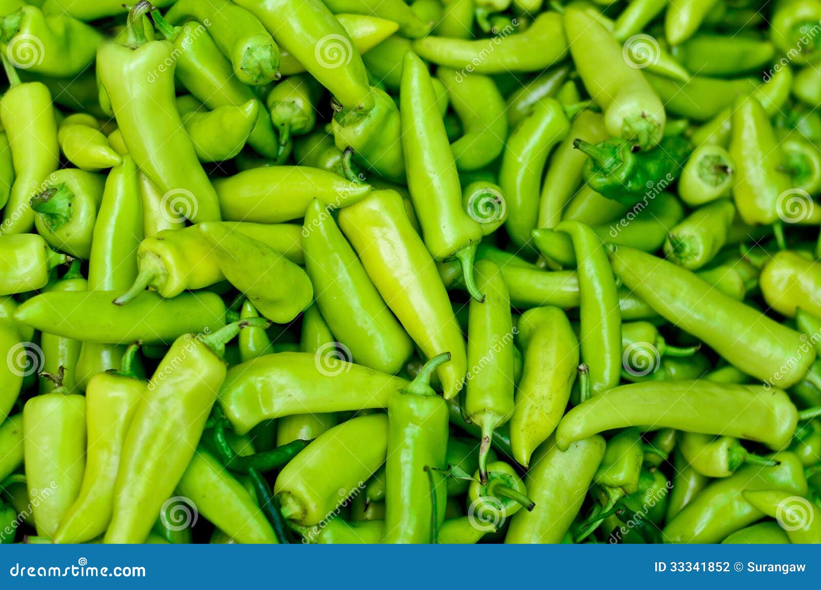 Green Chilli Peppers stock photo. Image of nuwara, eliya 33341852