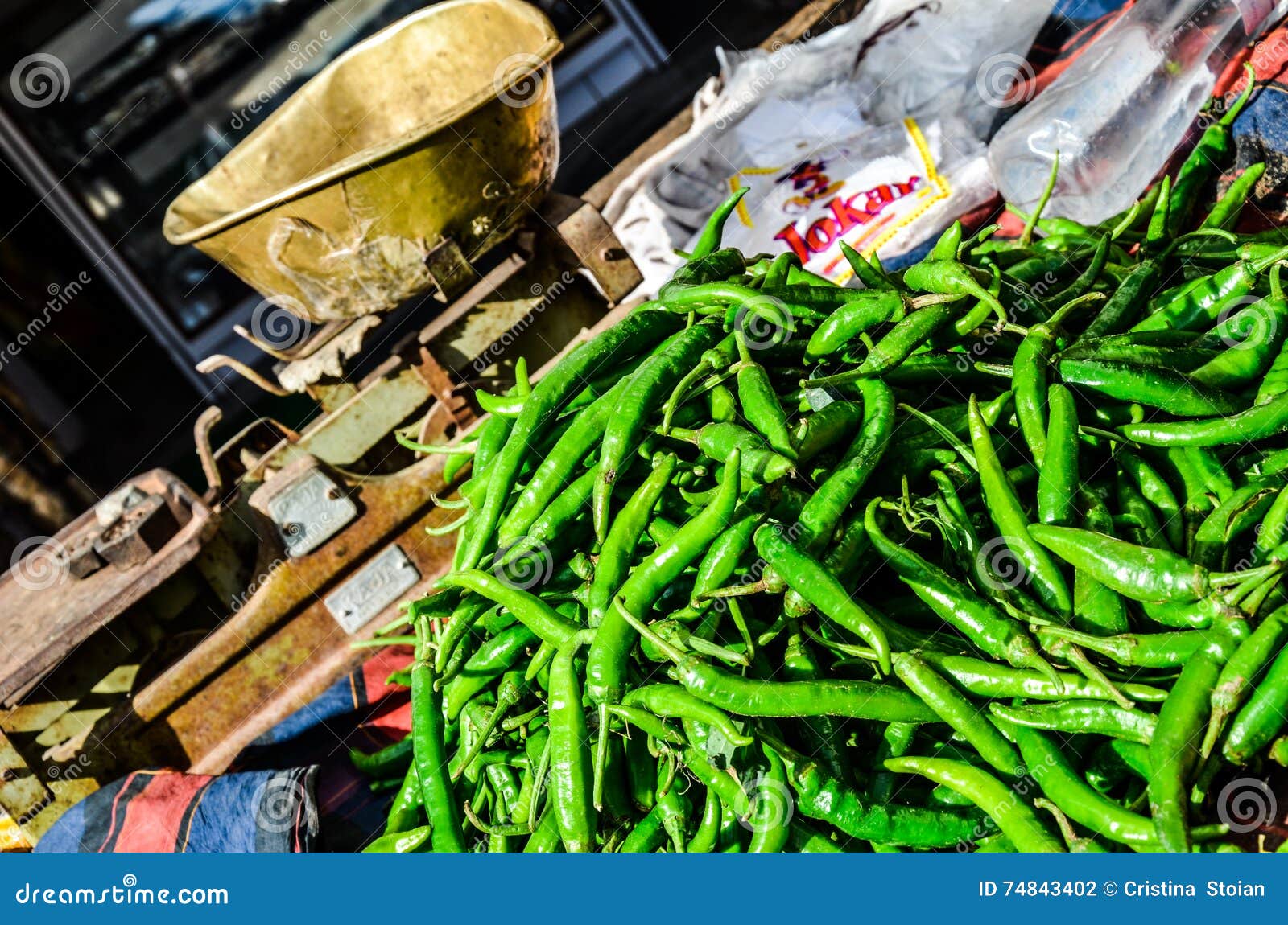 Green Chilli, Rajasthan, India Editorial Photography Image of pile