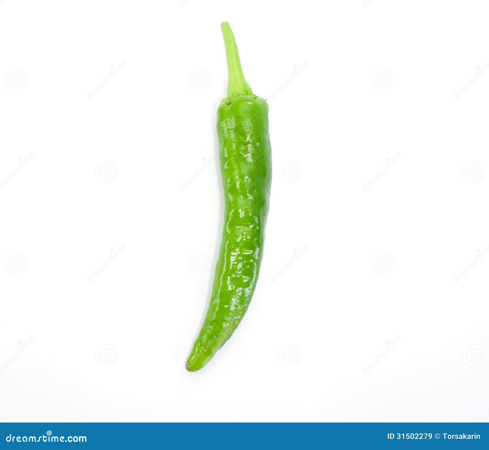 Green Chilli stock image. Image of isolated, colour, chilli - 31502279