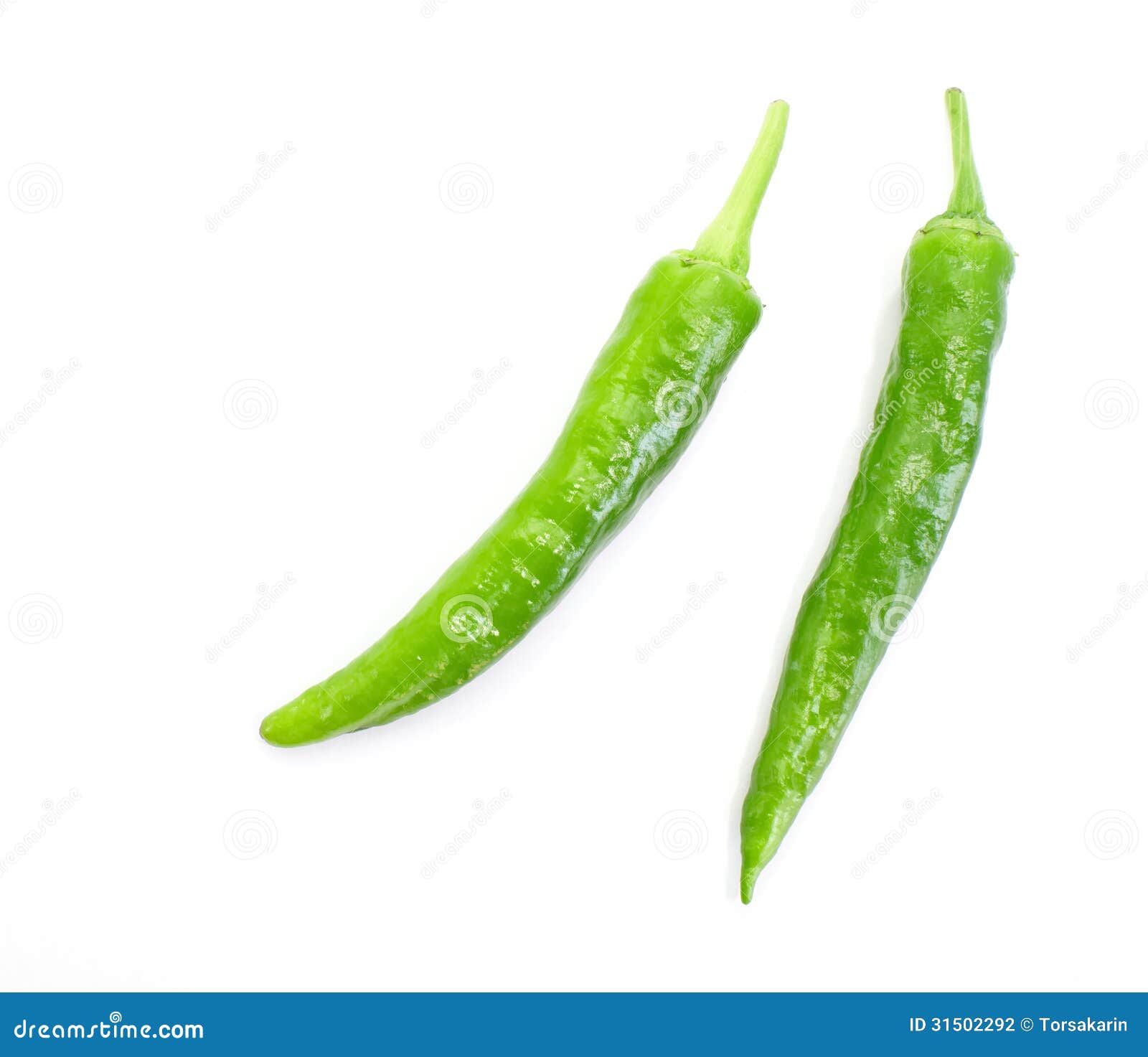Green Chilli stock photo. Image of food, green, group - 31502292