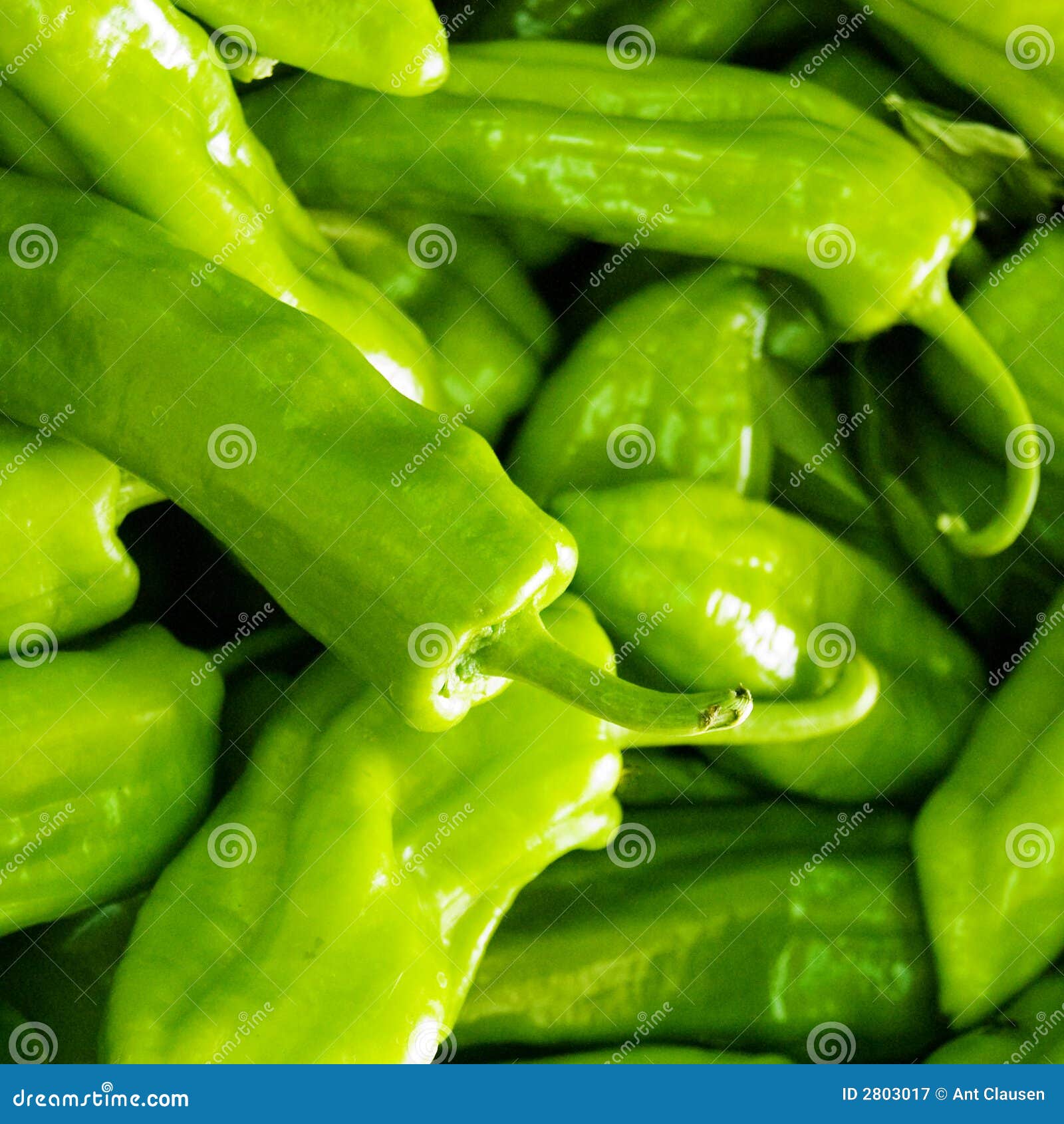 Are Green Chilles Safe For Dogs