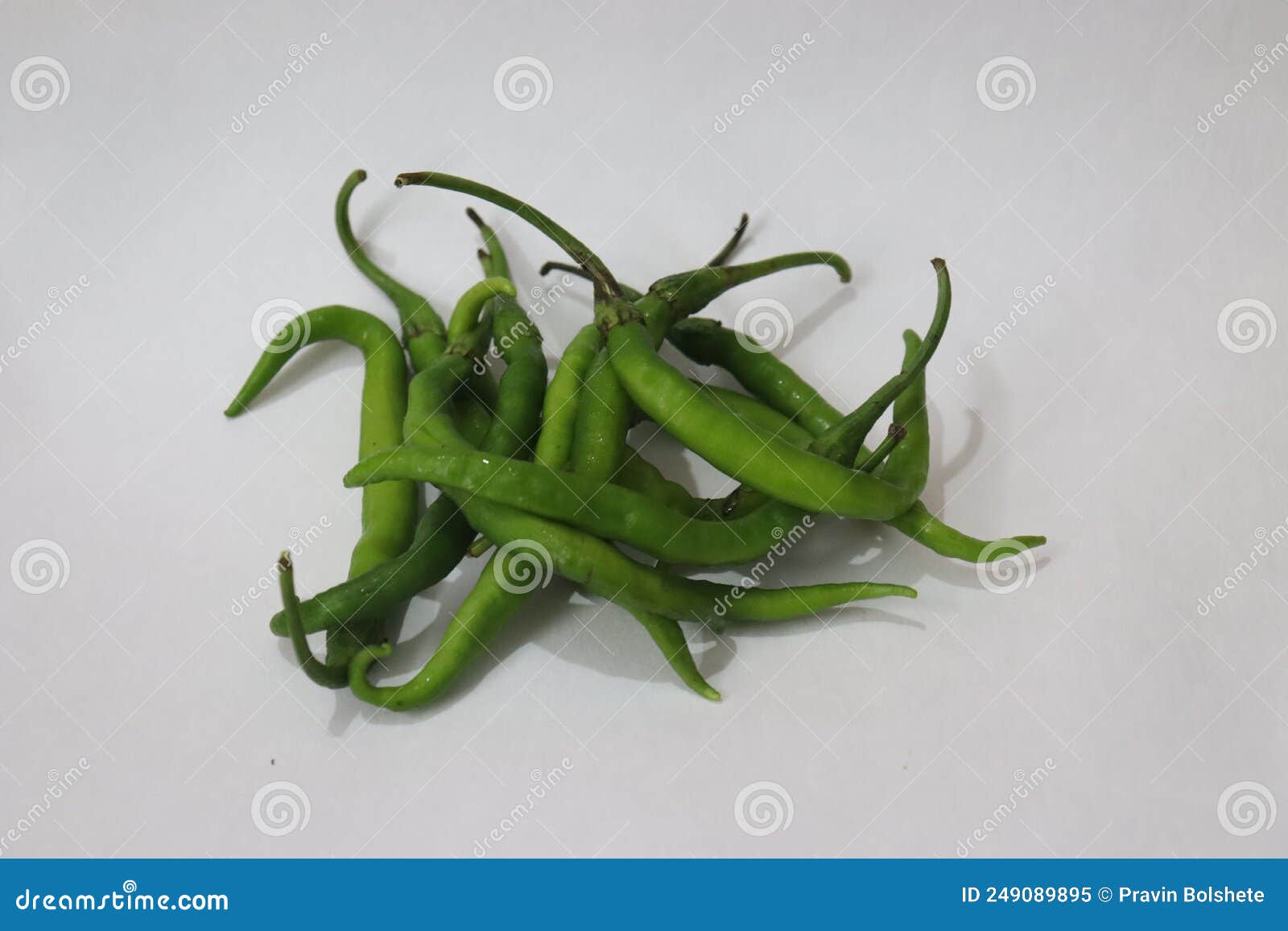 Green chilli stock image. Image of capsicum, vegetable - 249089895