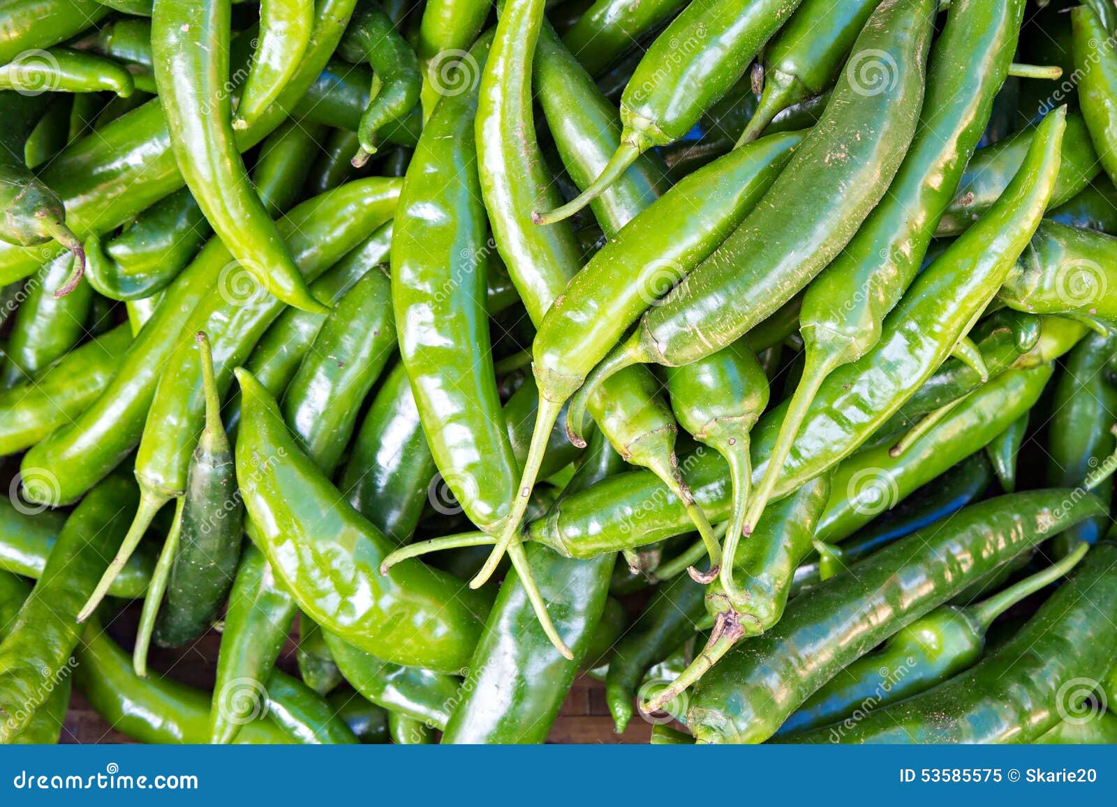 Green chillies stock image. Image of chili, shot, serrano 53585575