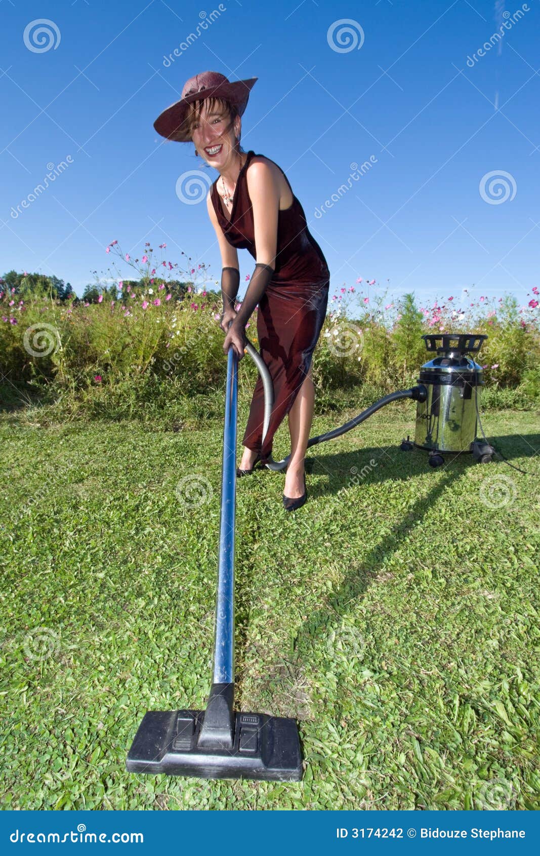 Green cleaning stock photo. Image of cosmos, flower, housework 3174242