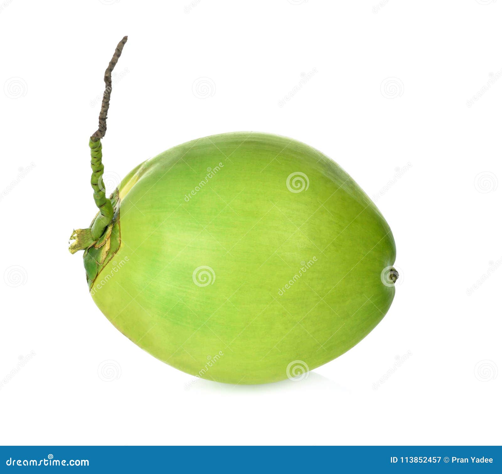 Green Coconut Fruit Isolated on White Background. Stock Image - Image ...
