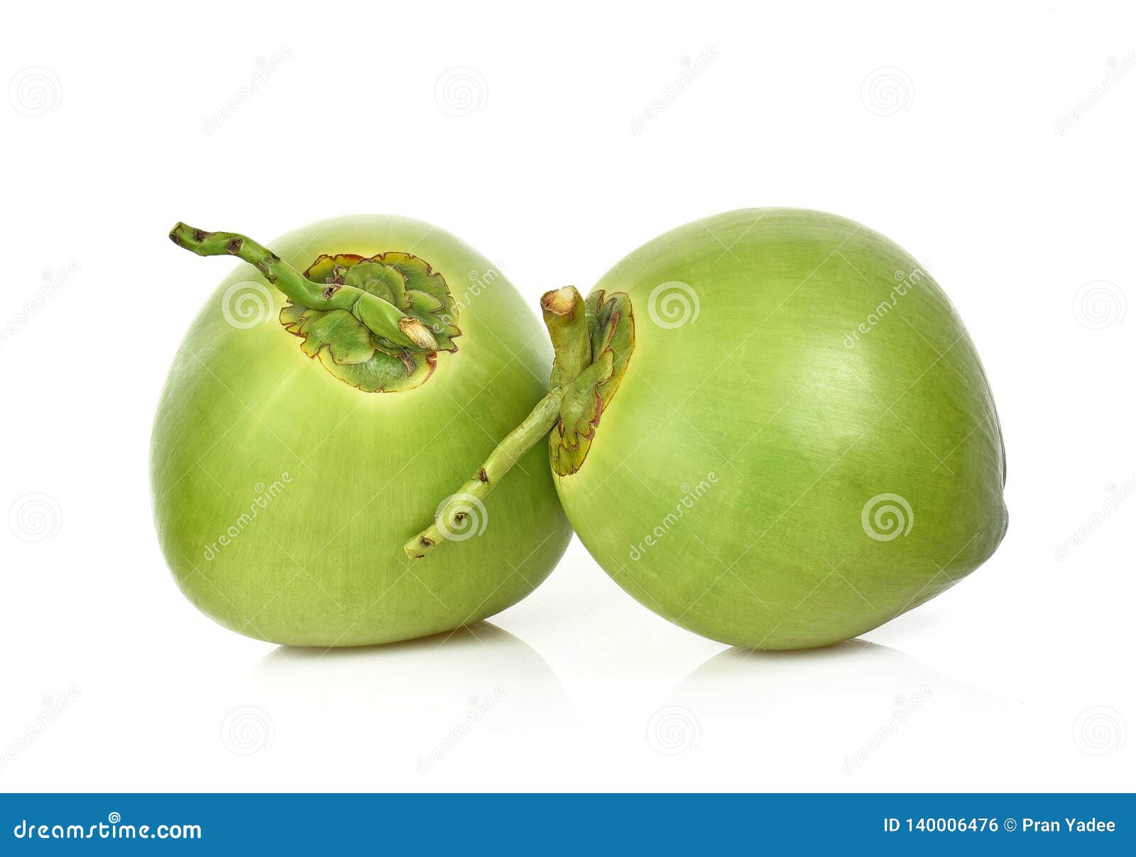 Green Coconut Fruit Isolated on White Background Stock Photo Image of