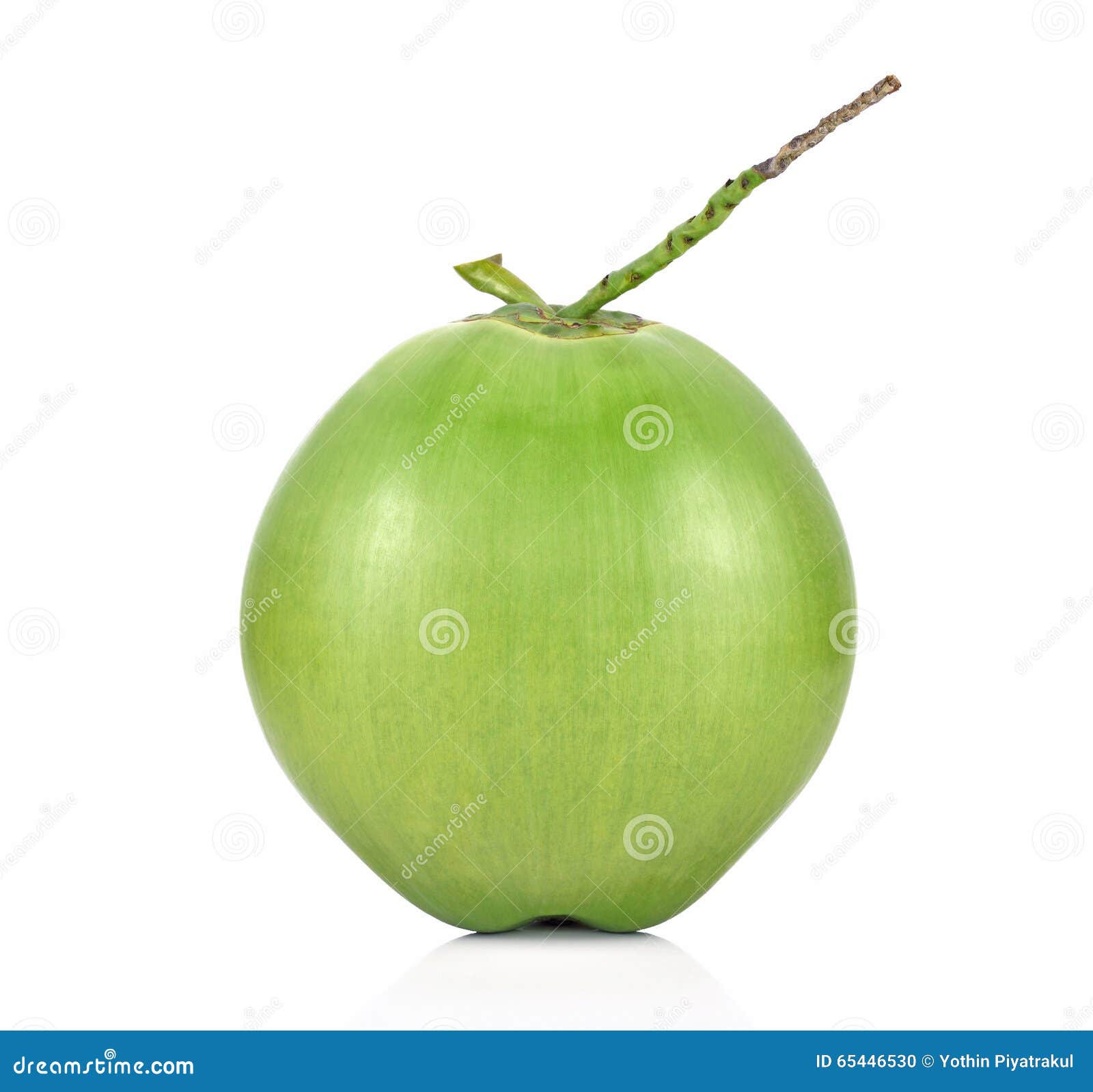 Green Coconut Fruit Isolated on White Background. Stock Photo Image