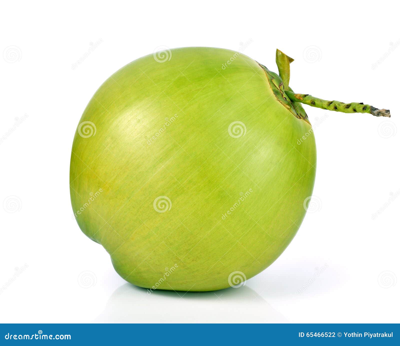 Green Coconut Fruit Isolated on White Background. Stock Photo - Image ...