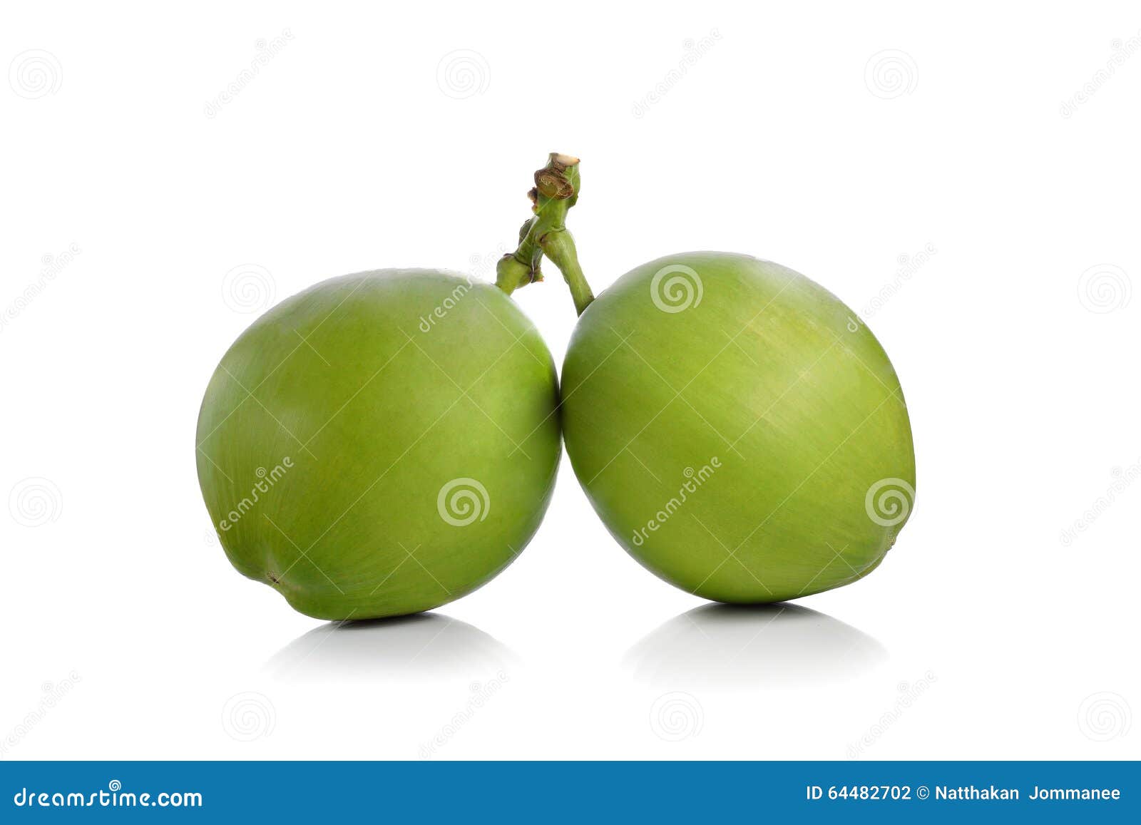 Green coconut stock photo. Image of freshness, organic 64482702