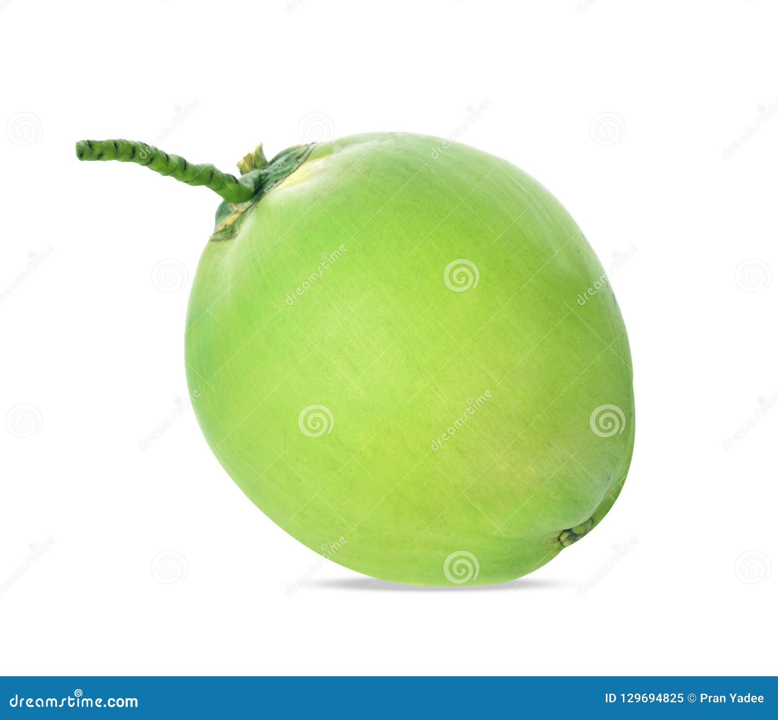 Green Coconut Isolated on White Background Stock Image - Image of fresh ...
