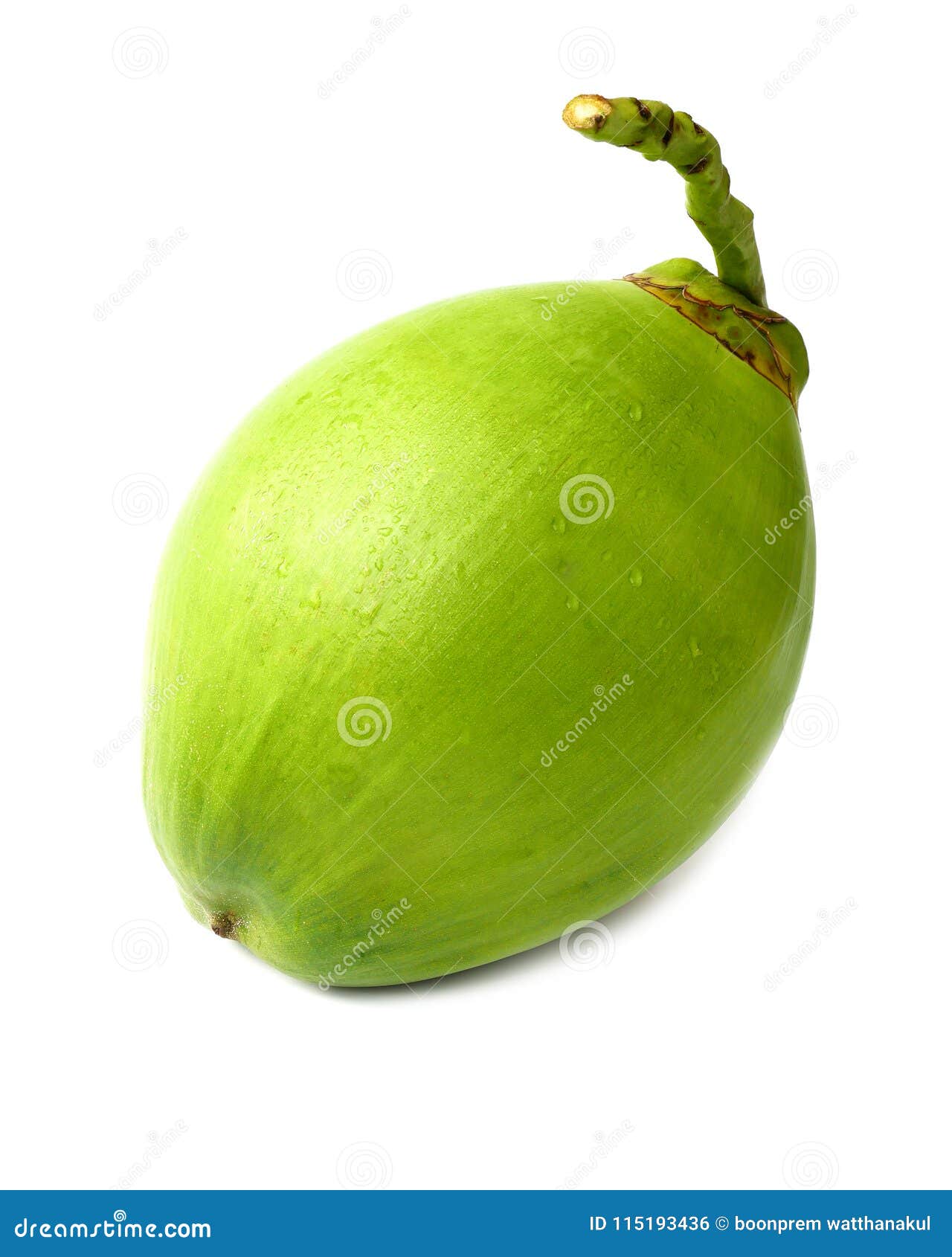 Green Coconut Fruit Isolated on White Background. Stock Photo - Image ...
