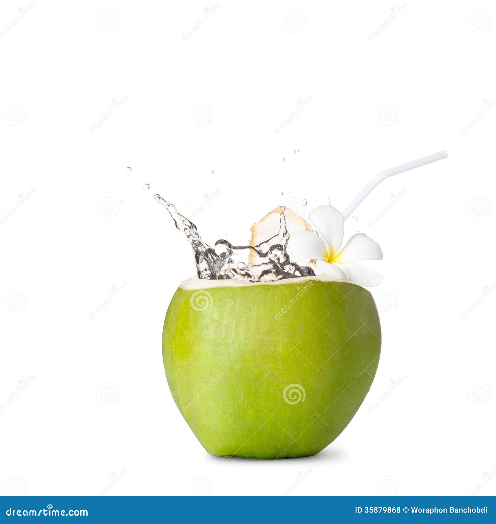 Green Coconut with Water Splash Stock Photo Image of palm, flower 35879868