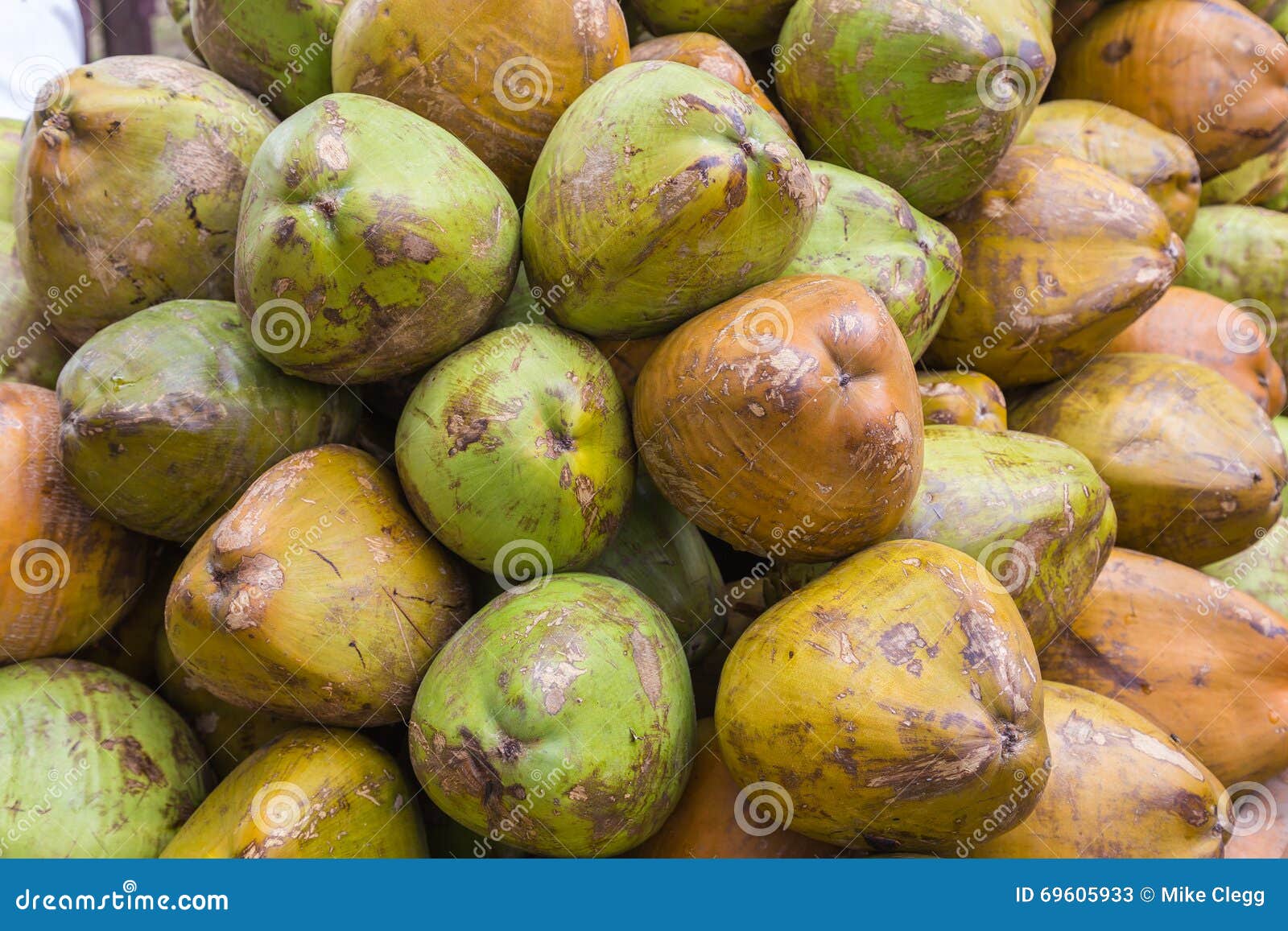 Green Coconuts at a Market Stand Stock Image Image of objects
