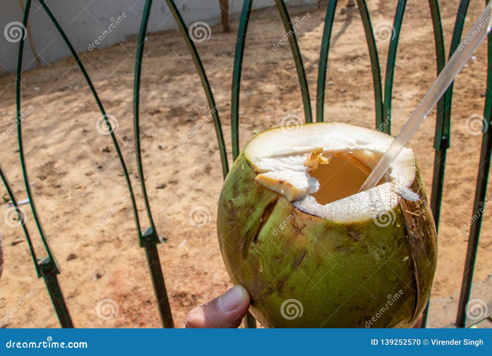 Green Coconuts with Drinking Straw Stock Photo Image of pattern