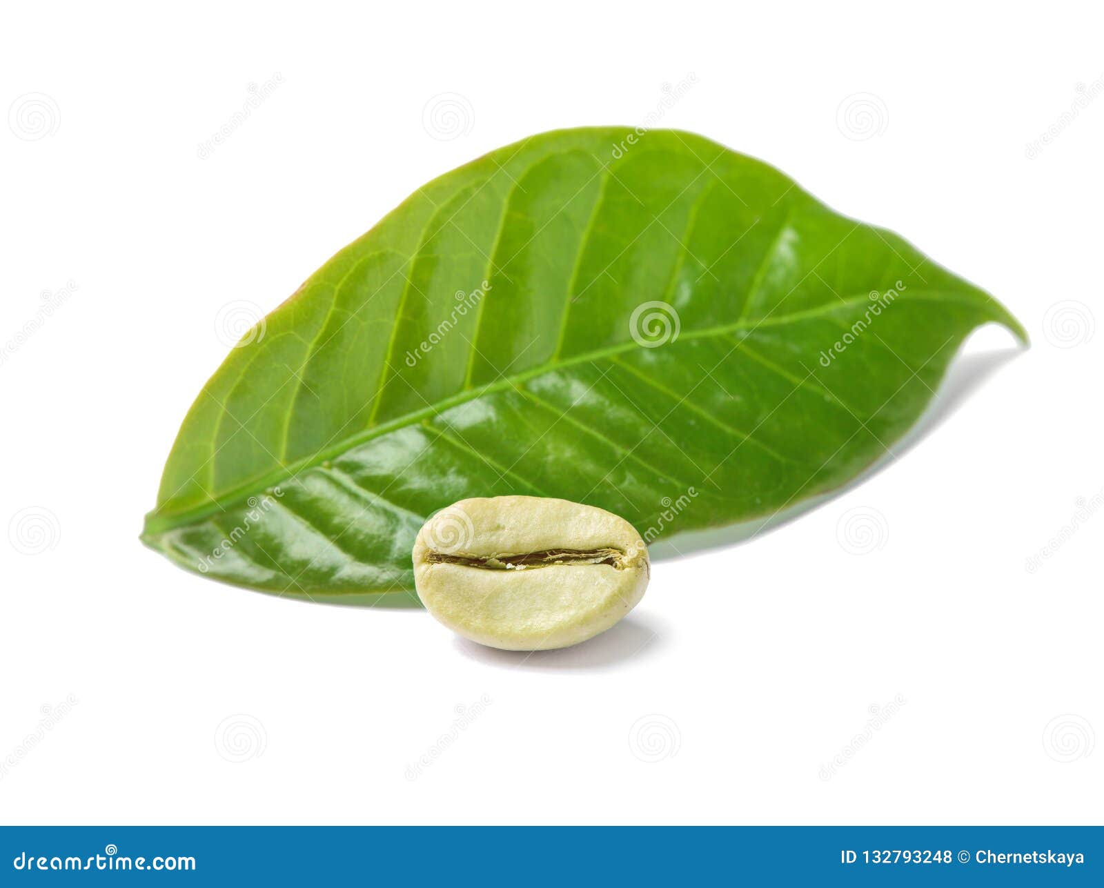 Green Coffee Bean and Fresh Leaf Stock Photo Image of recipe, arabian