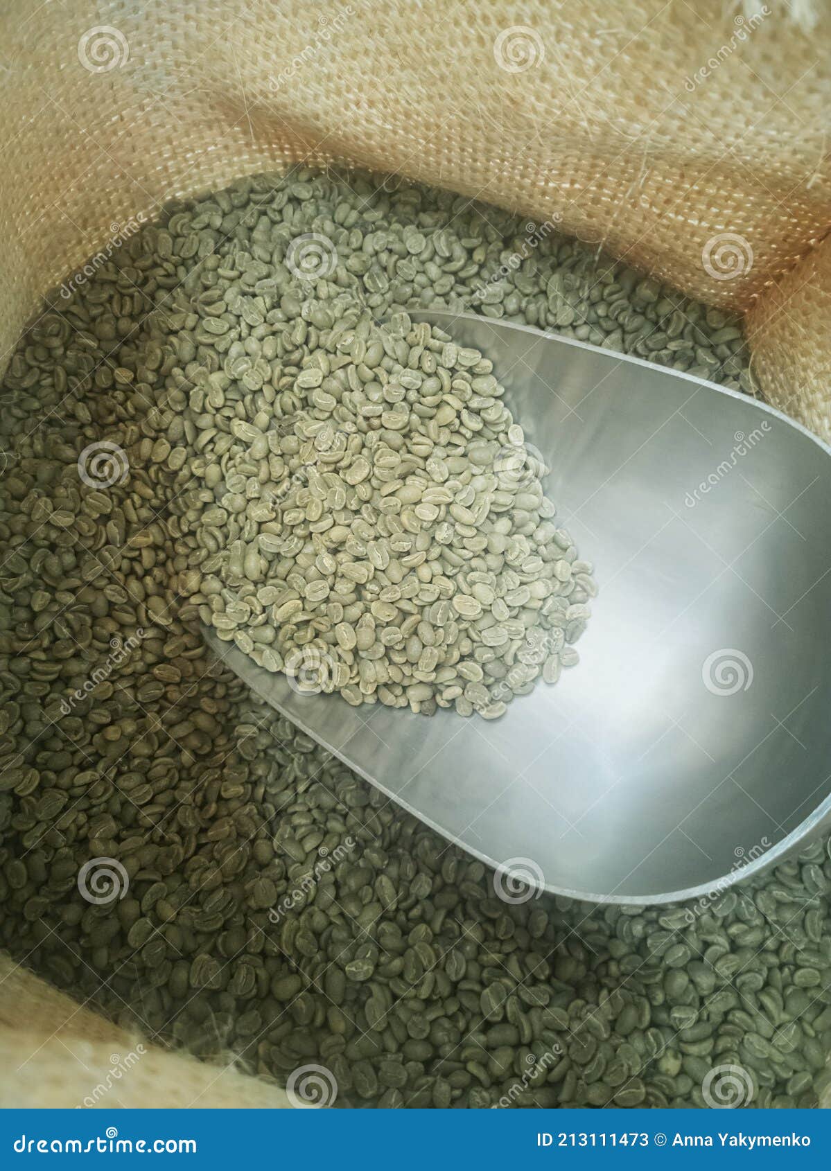 Green Coffee Beans in a Bag. Coffee before Roasting Stock Image Image