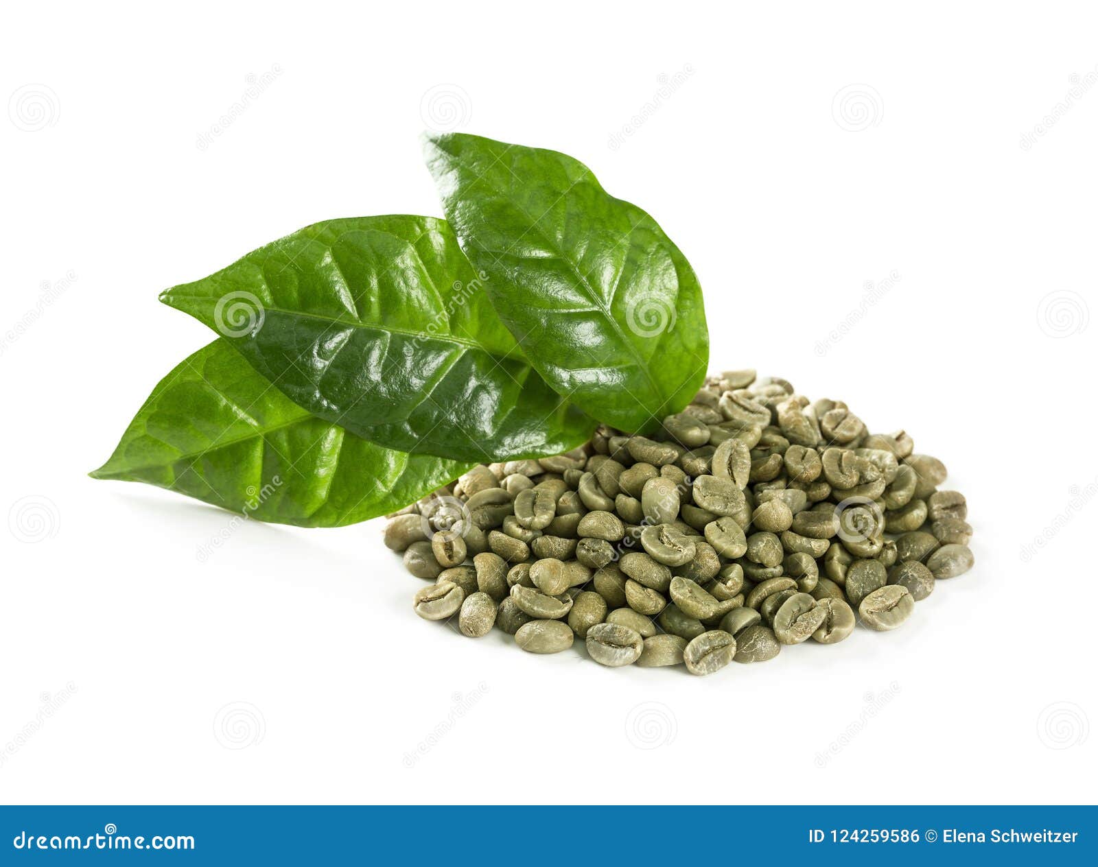 Green coffee beans stock photo. Image of leaves, coffe 124259586