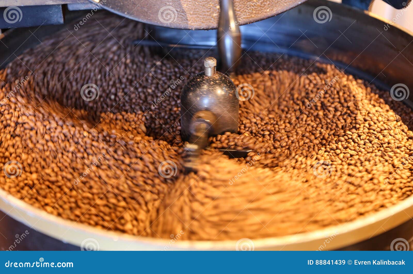 Green Coffee Beans Roasting Stock Image Image of seed, mocha 88841439