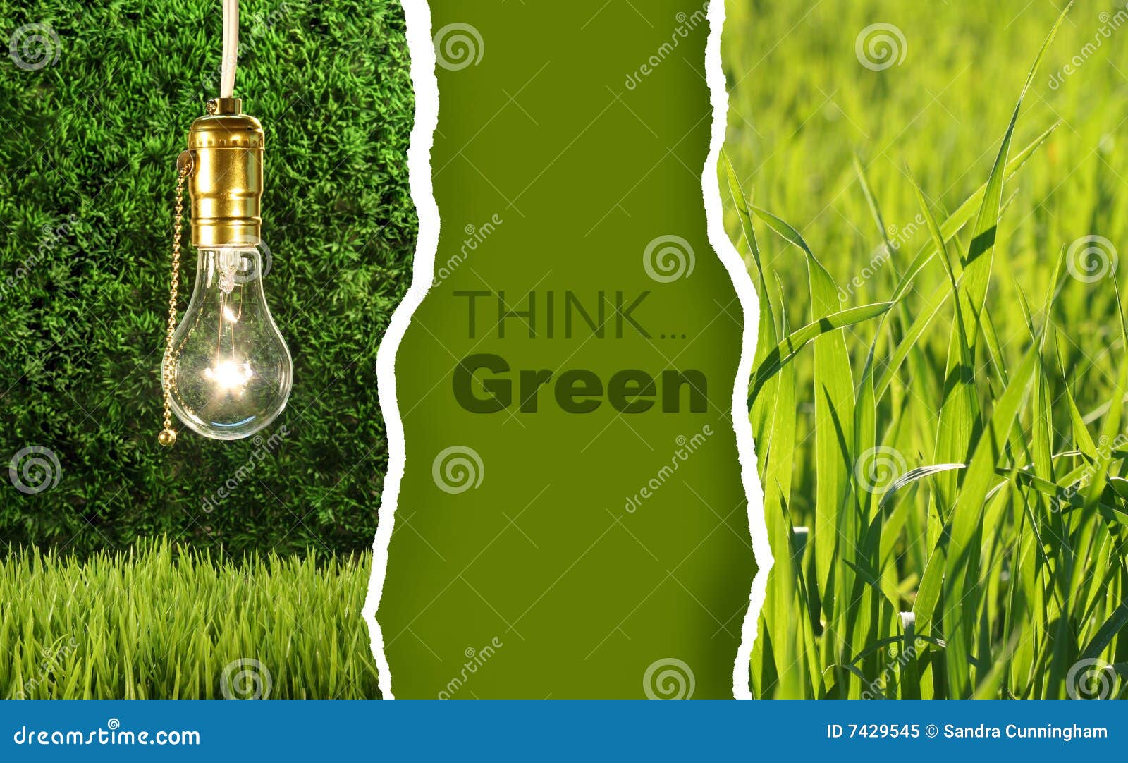 green collection of eco-friendly photos