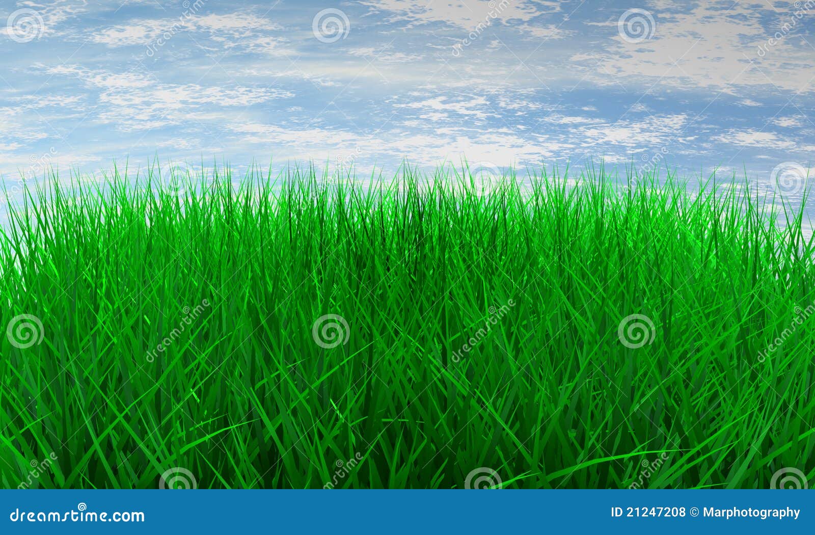 Green Color Grass Royalty Free Stock Photos - Image: 21247208