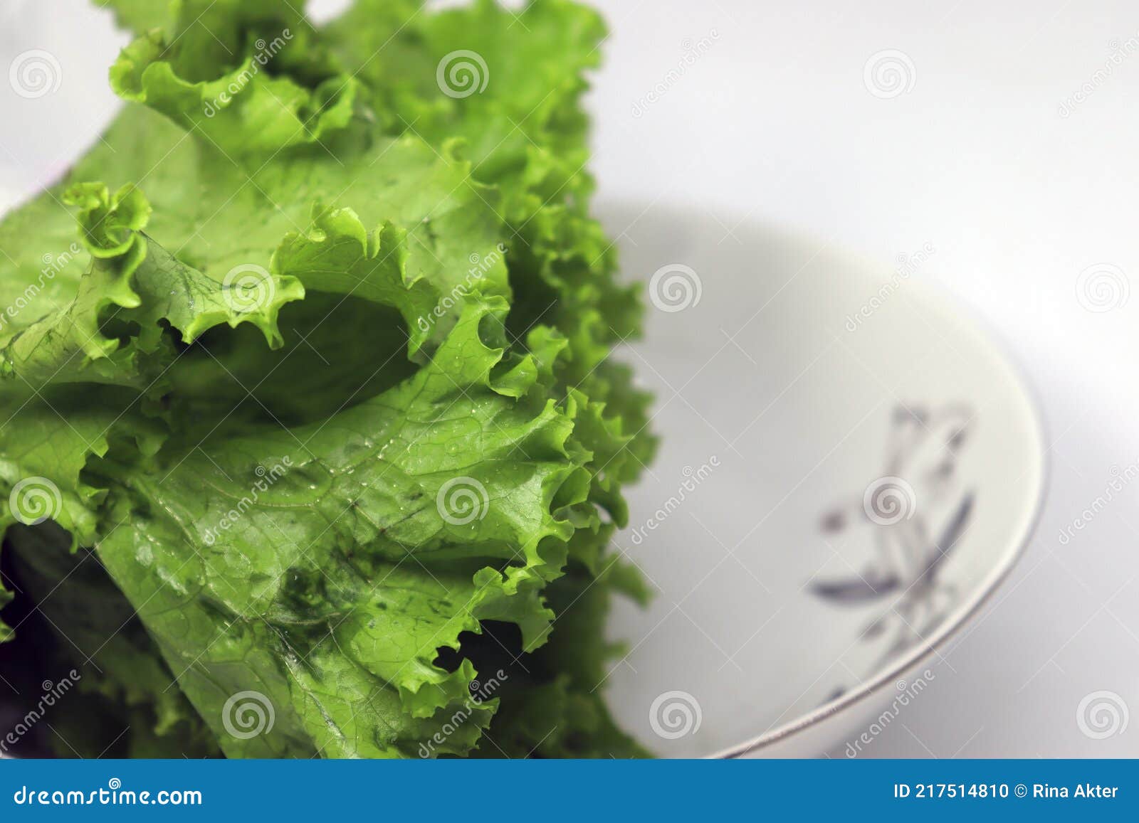 Green Colored Lettuce Leaf on Plate Stock Photo Image of agriculture