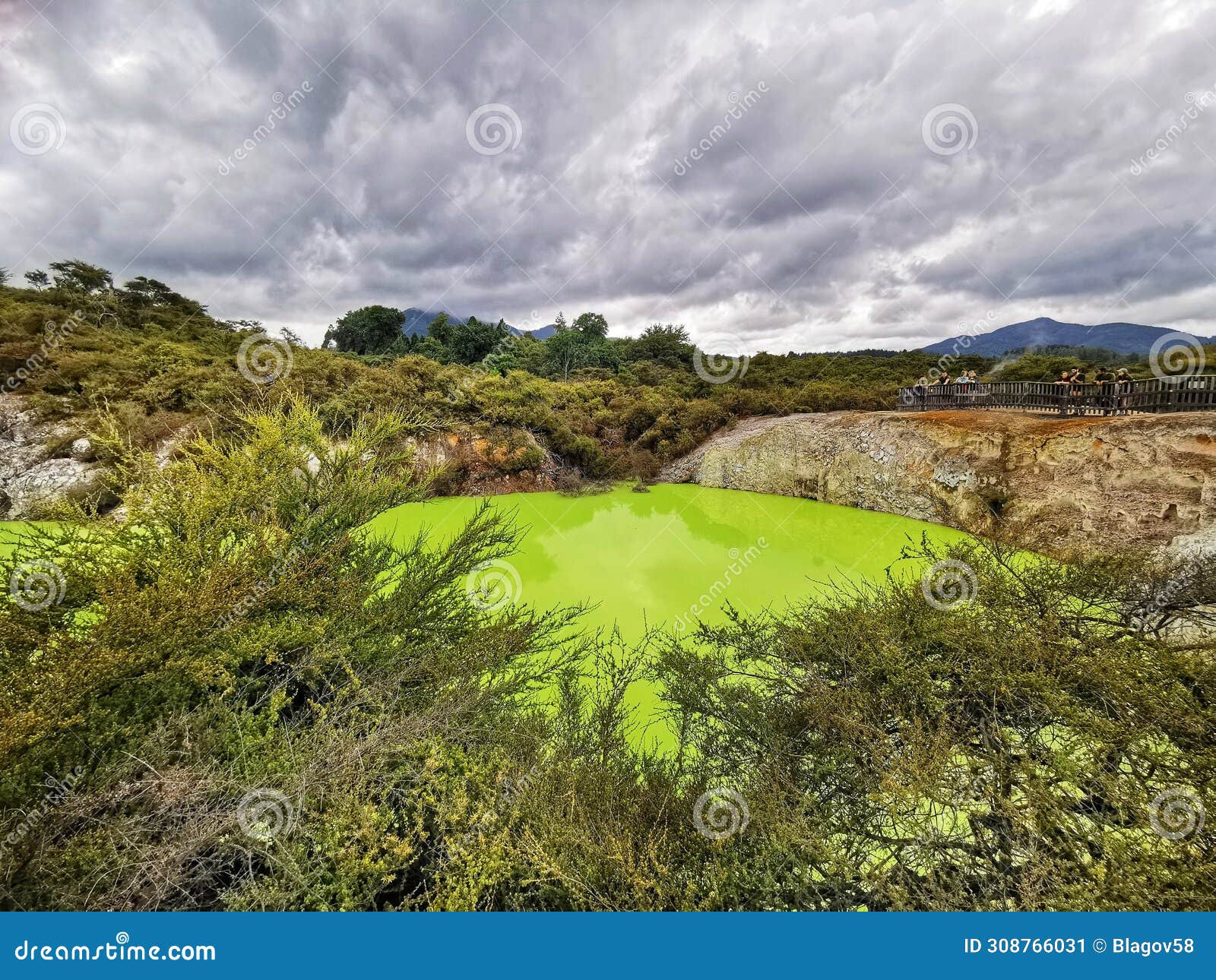 a green-coloured geothermally active lake in the wai-o-tapu park in new zealand
