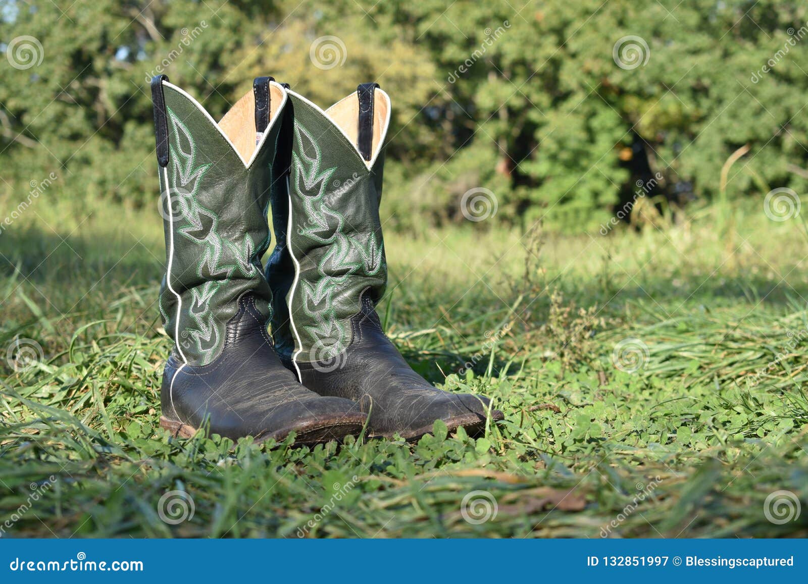 Green Cowboy Boots in the Grass Stock Image - Image of blurry, pair ...