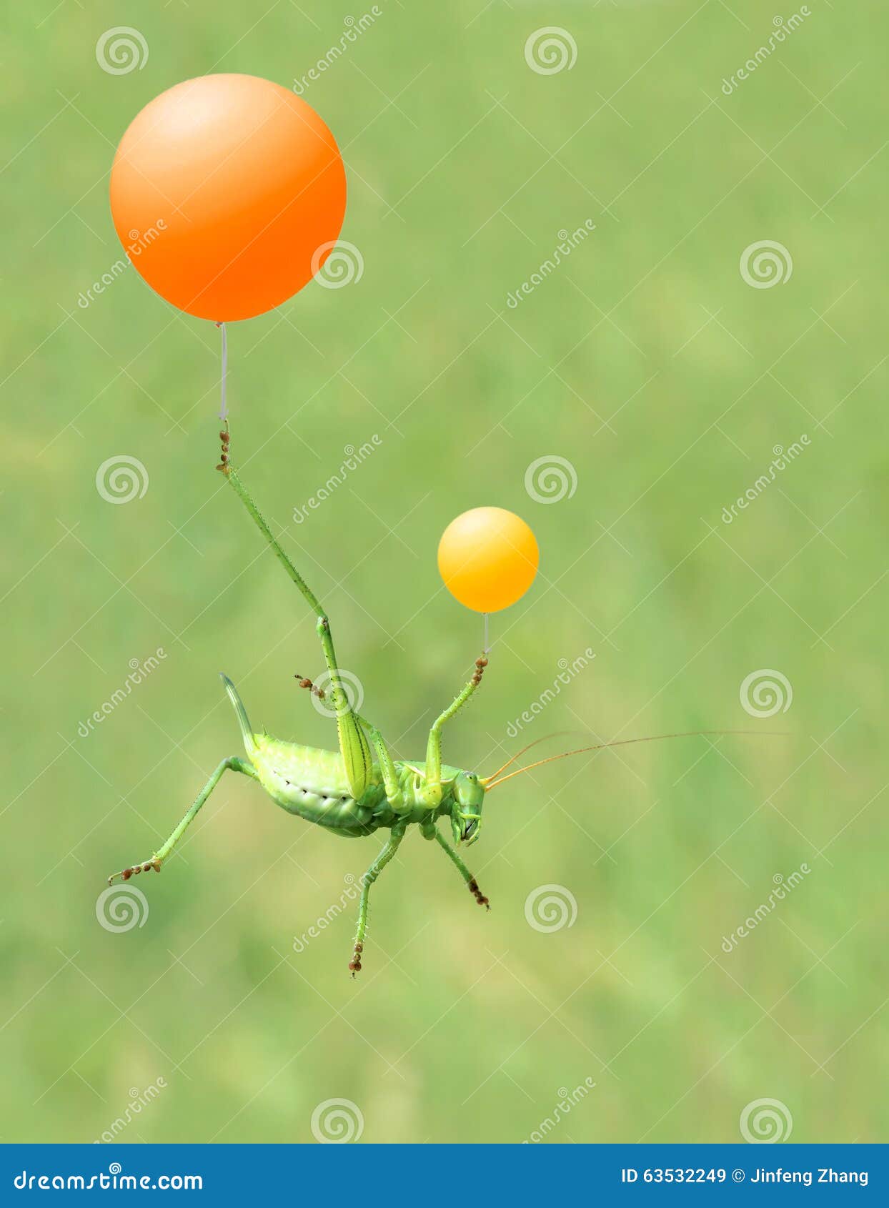 green cricket and airballoon