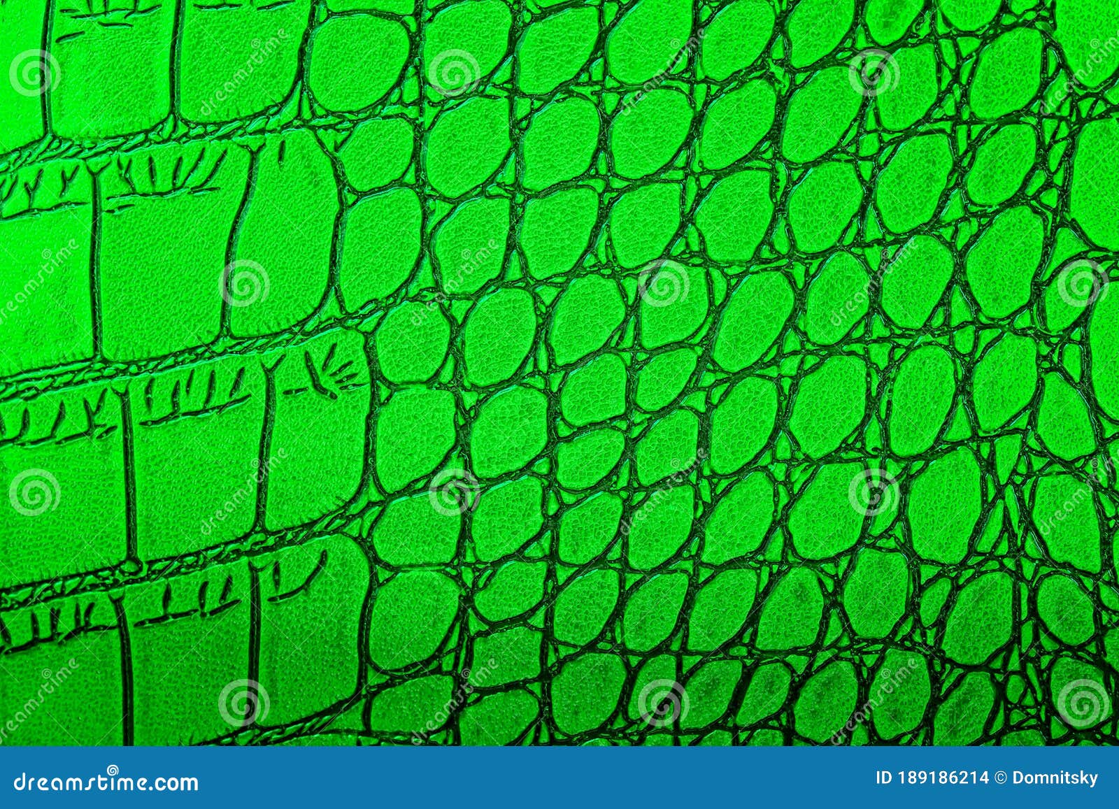 Green alligator leather, skin  Alligator, Leather, Desktop wallpaper black