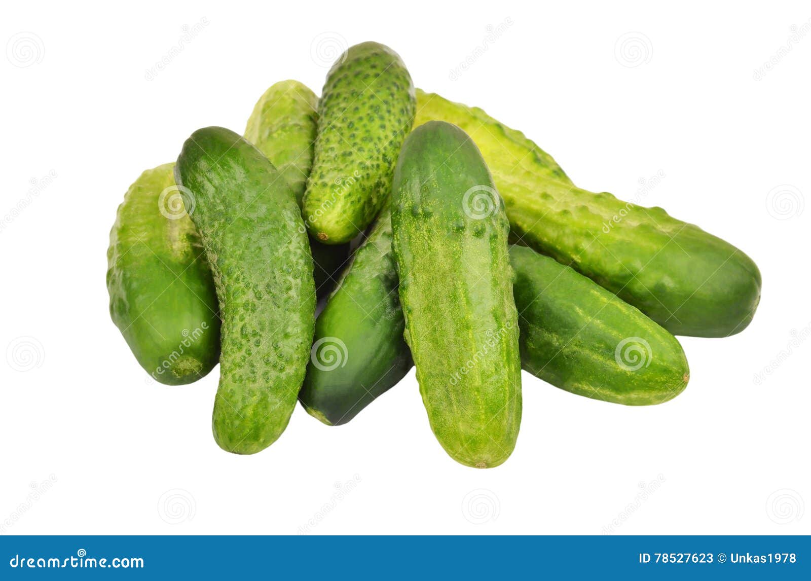 Green cucumber gherkin stock image. Image of gherkin 78527623