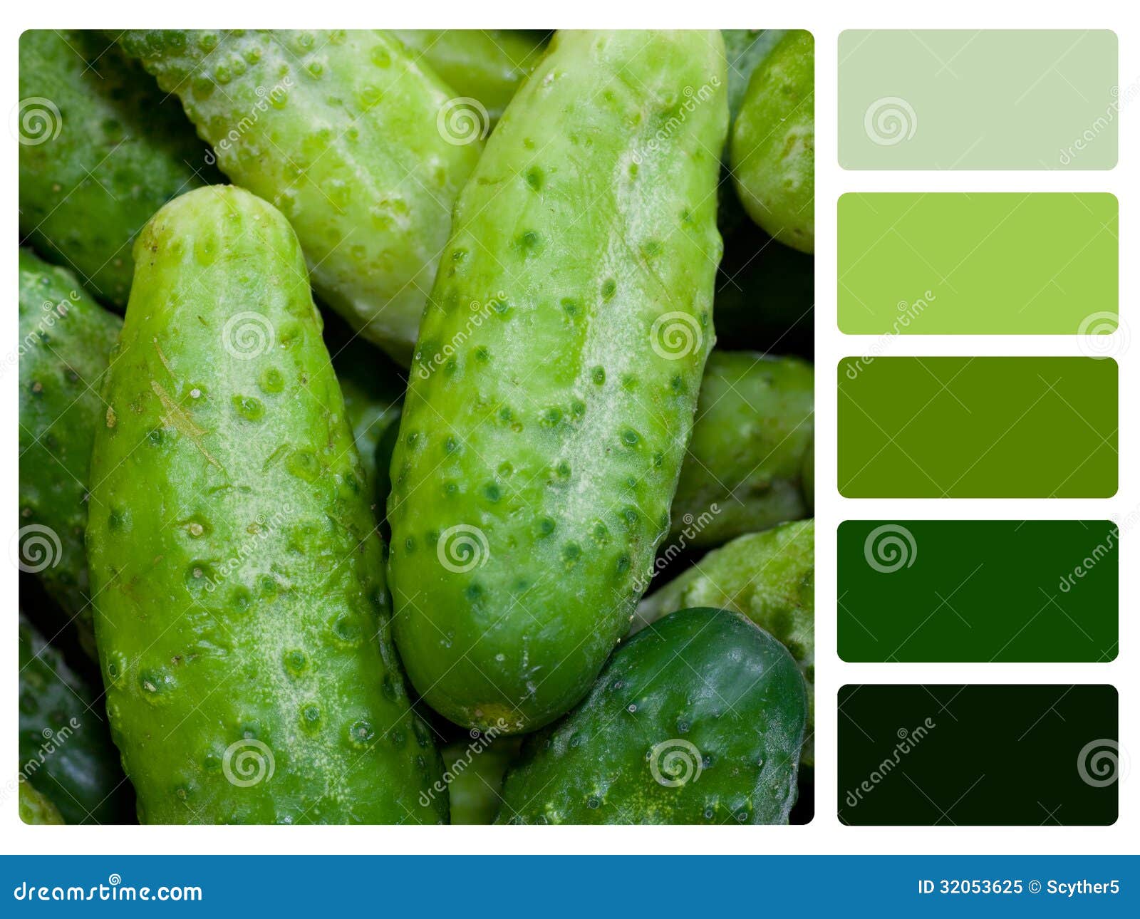 green cucumbers colour palette swatch