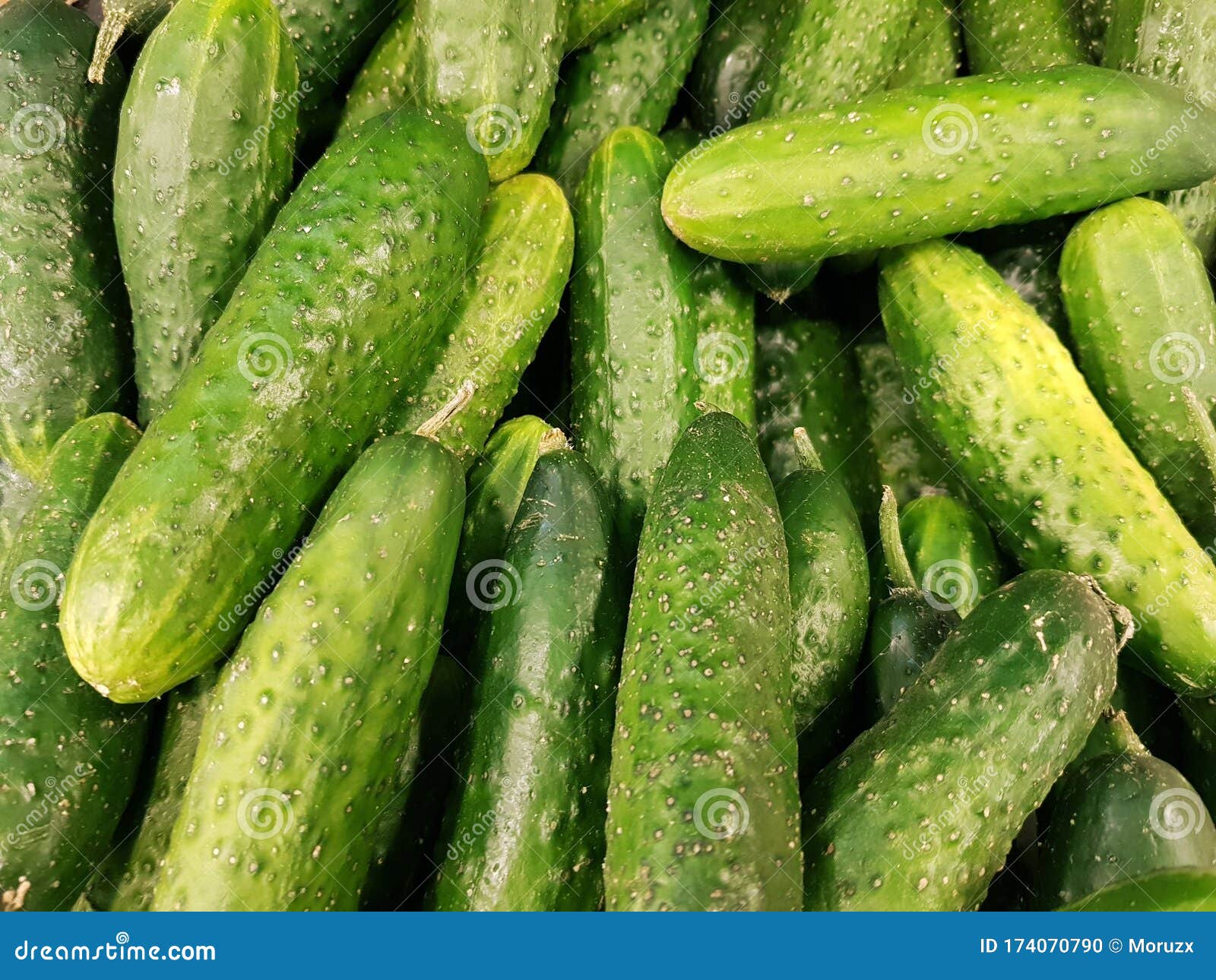 cucumbers in full screen. wallpaper, background.