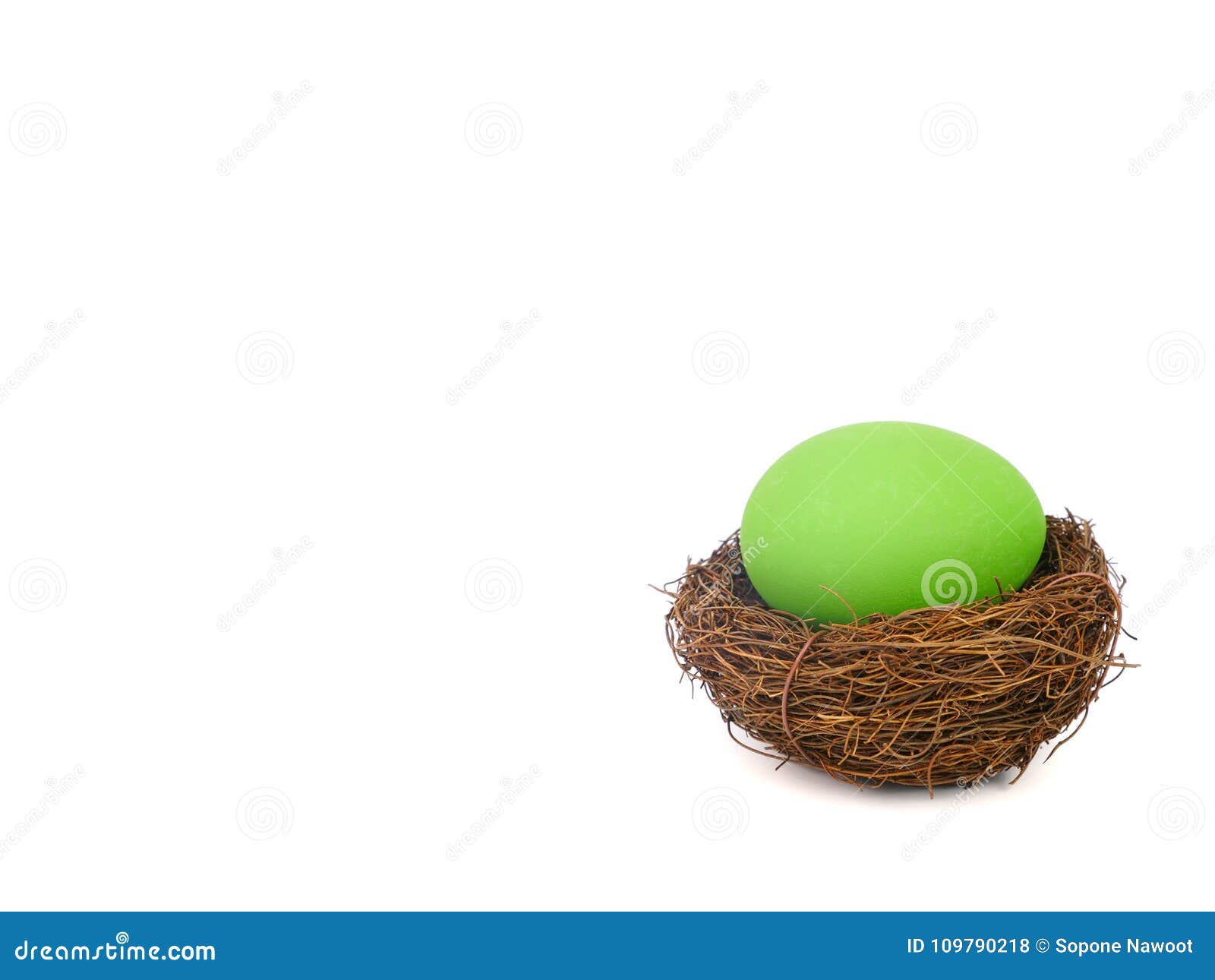 Easter egg in a bird nest stock photo. Image of beautiful 109790218