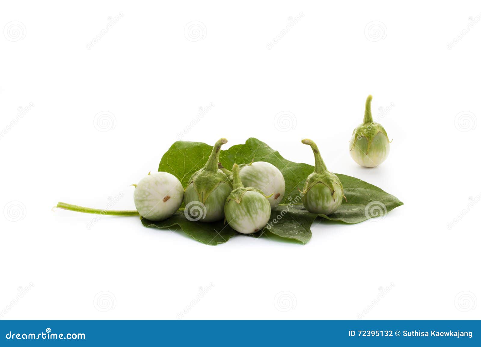 Green Eggplant with Drops of Water and Eggplant Leaves on White Stock