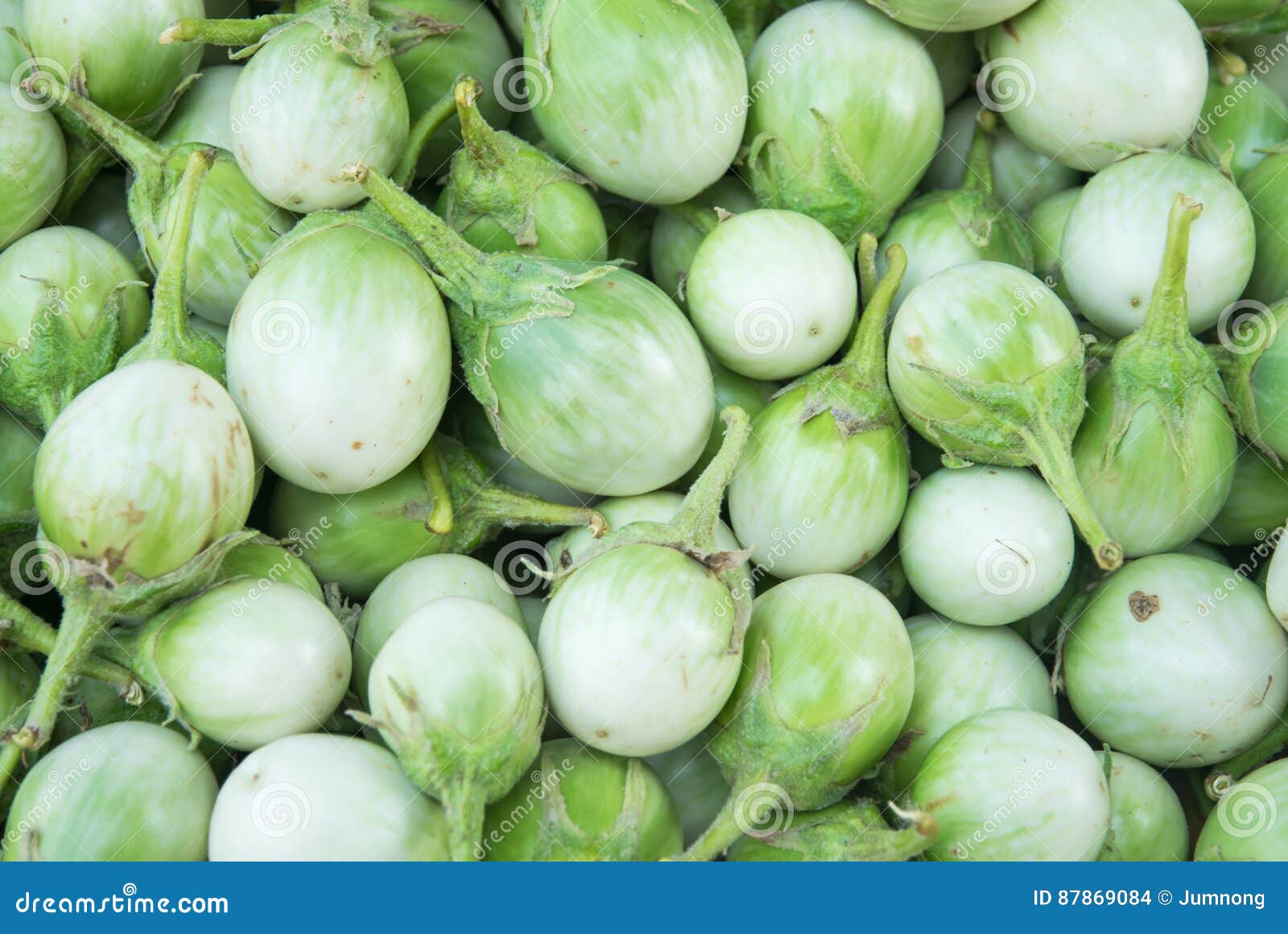 Green eggplant stock photo. Image of vegetable, organic 87869084