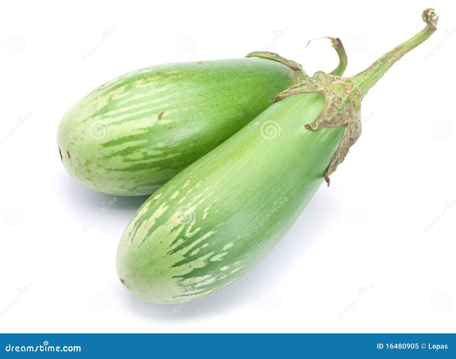 Eggplant Vegetable Plants That Are Still Young Have A Purple Color