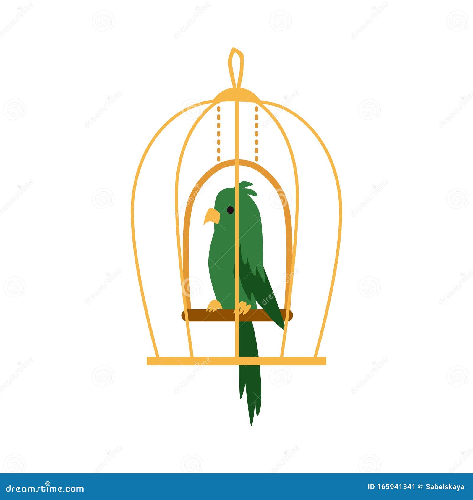 Featured image of post Green Parrot Parrot Cartoon Images