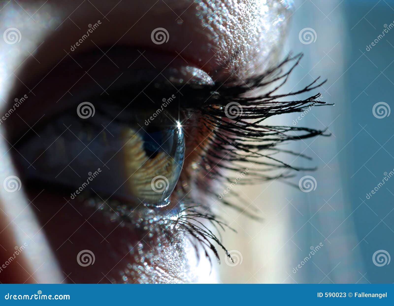 Green eye stock image. Image of eyed, body, idea, eyelid - 590023