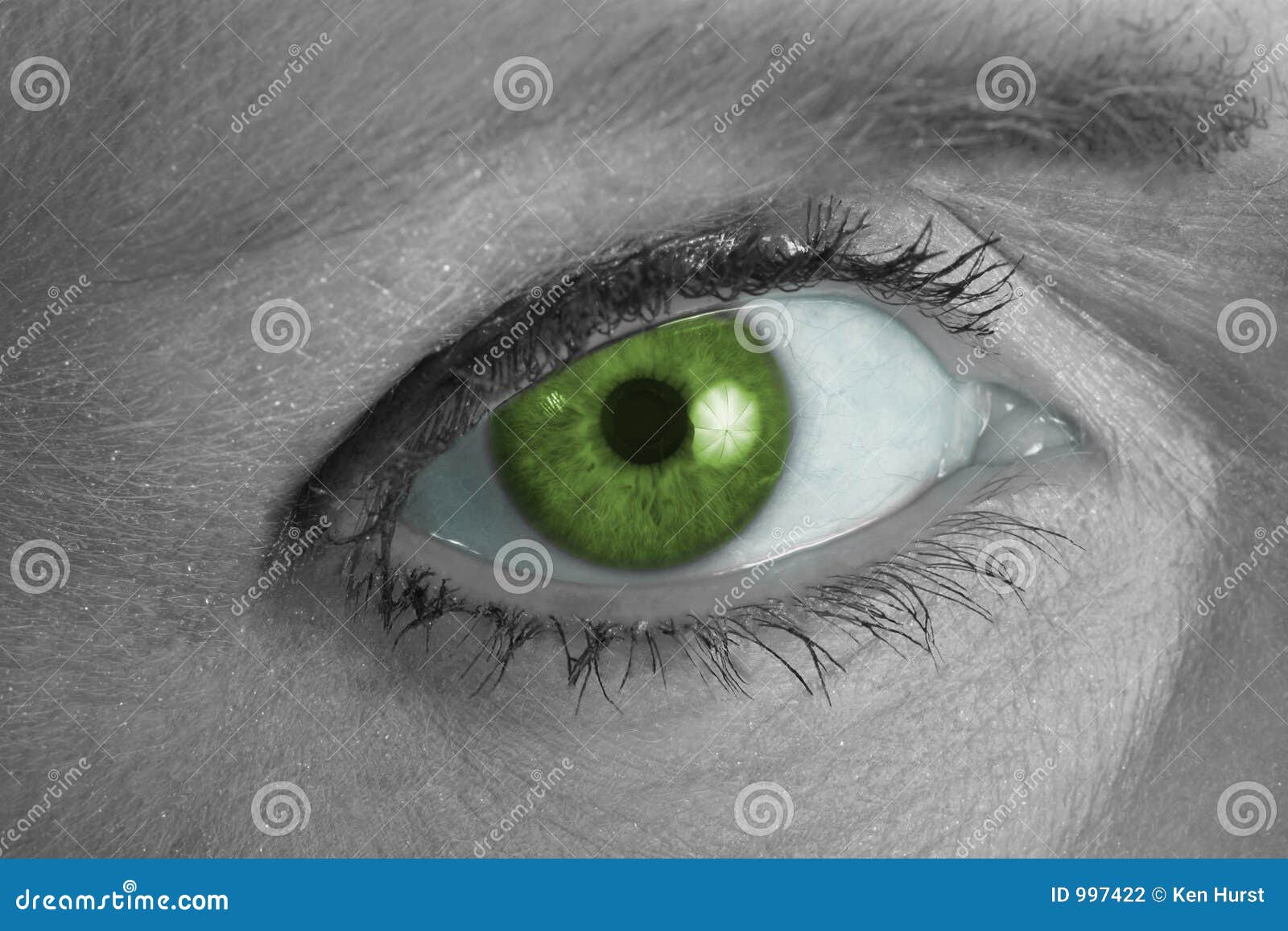 Green Eye Looking at You stock photo. Image of beautiful 997422