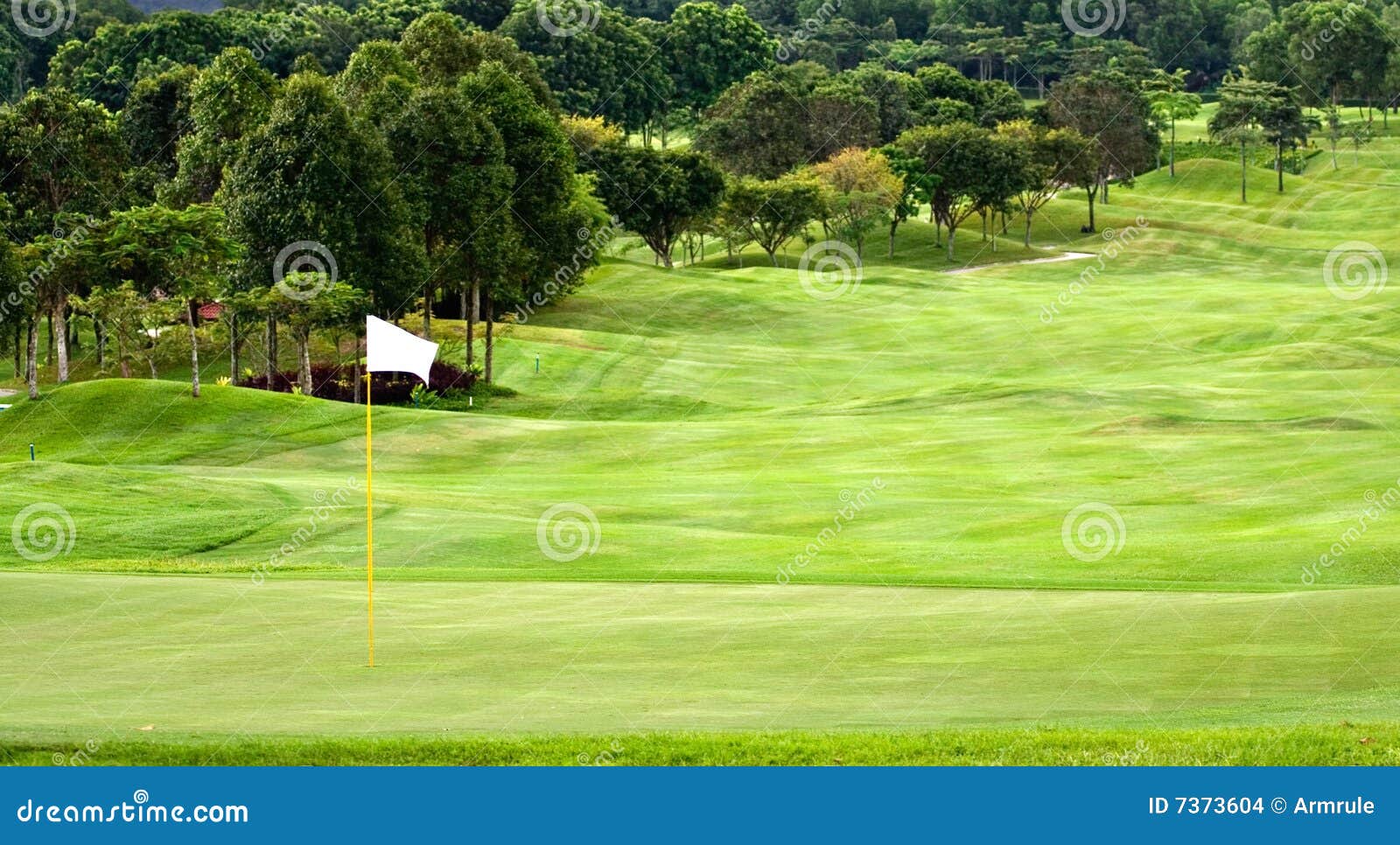 Green & Fairway stock photo. Image of fairway, lumpur 7373604