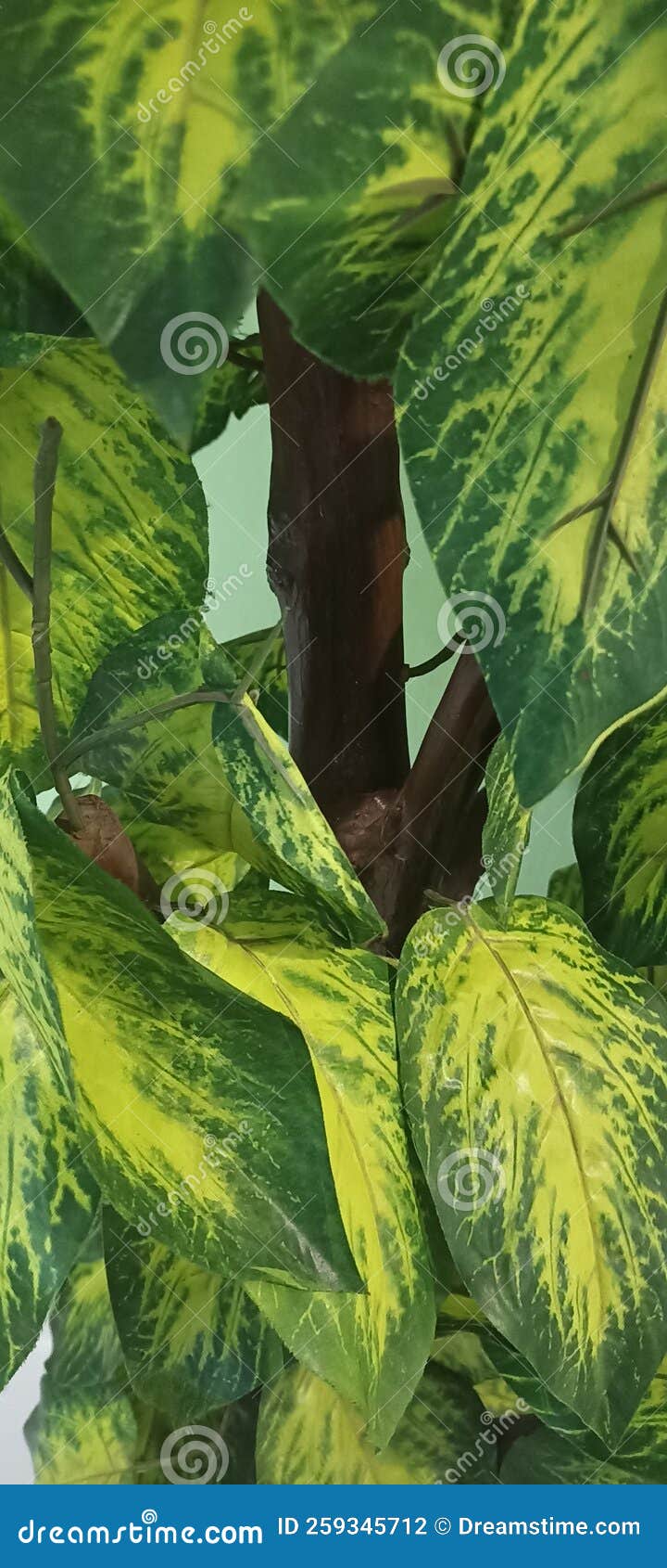 A Green Fake Decorative Plant Stock Photo Image of flower, nature