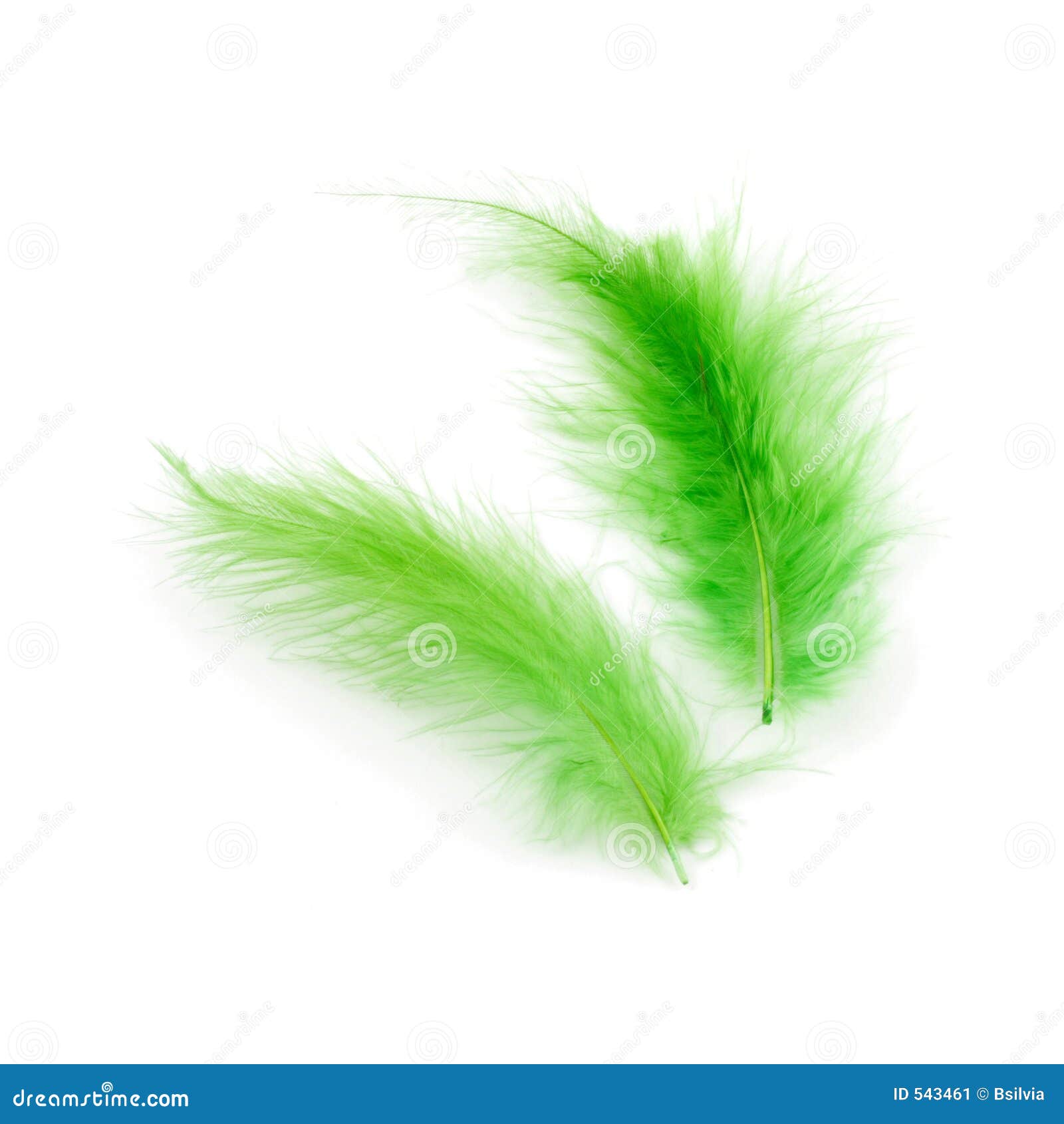 Aqua Green Feathers Background Stock Photo, Picture and Royalty Free Image.  Image 17226915.