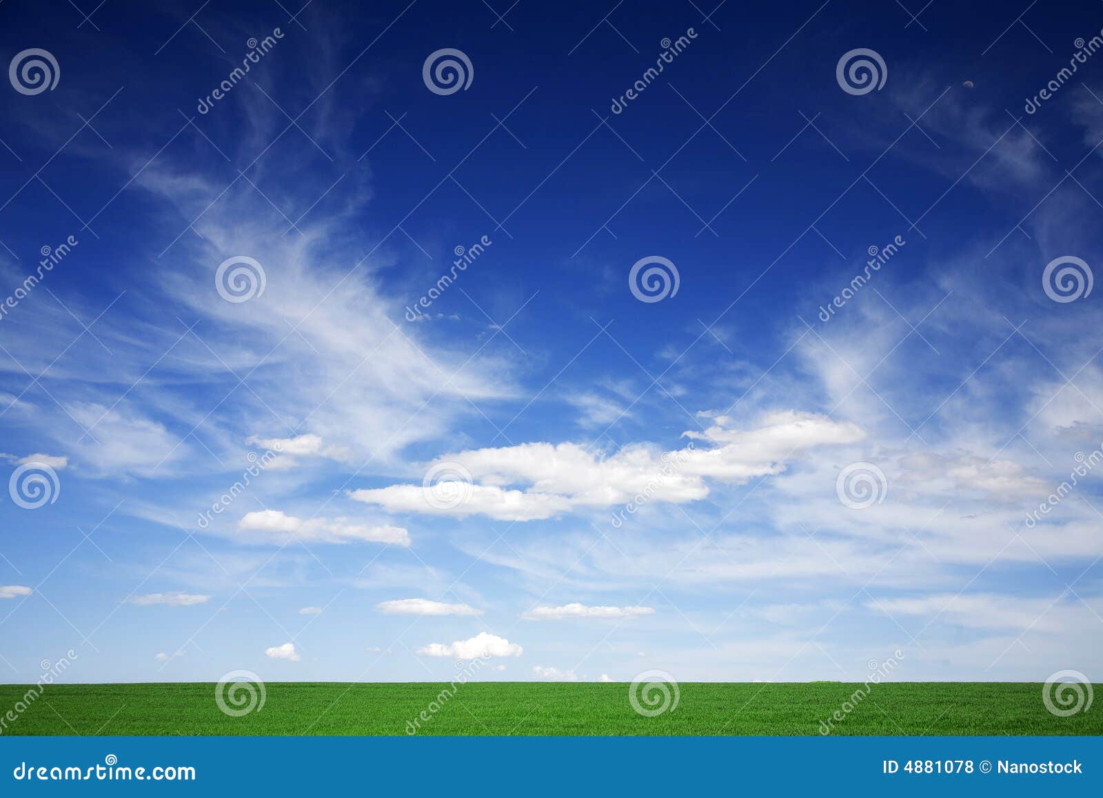 green field, blue skies, white clouds in spring