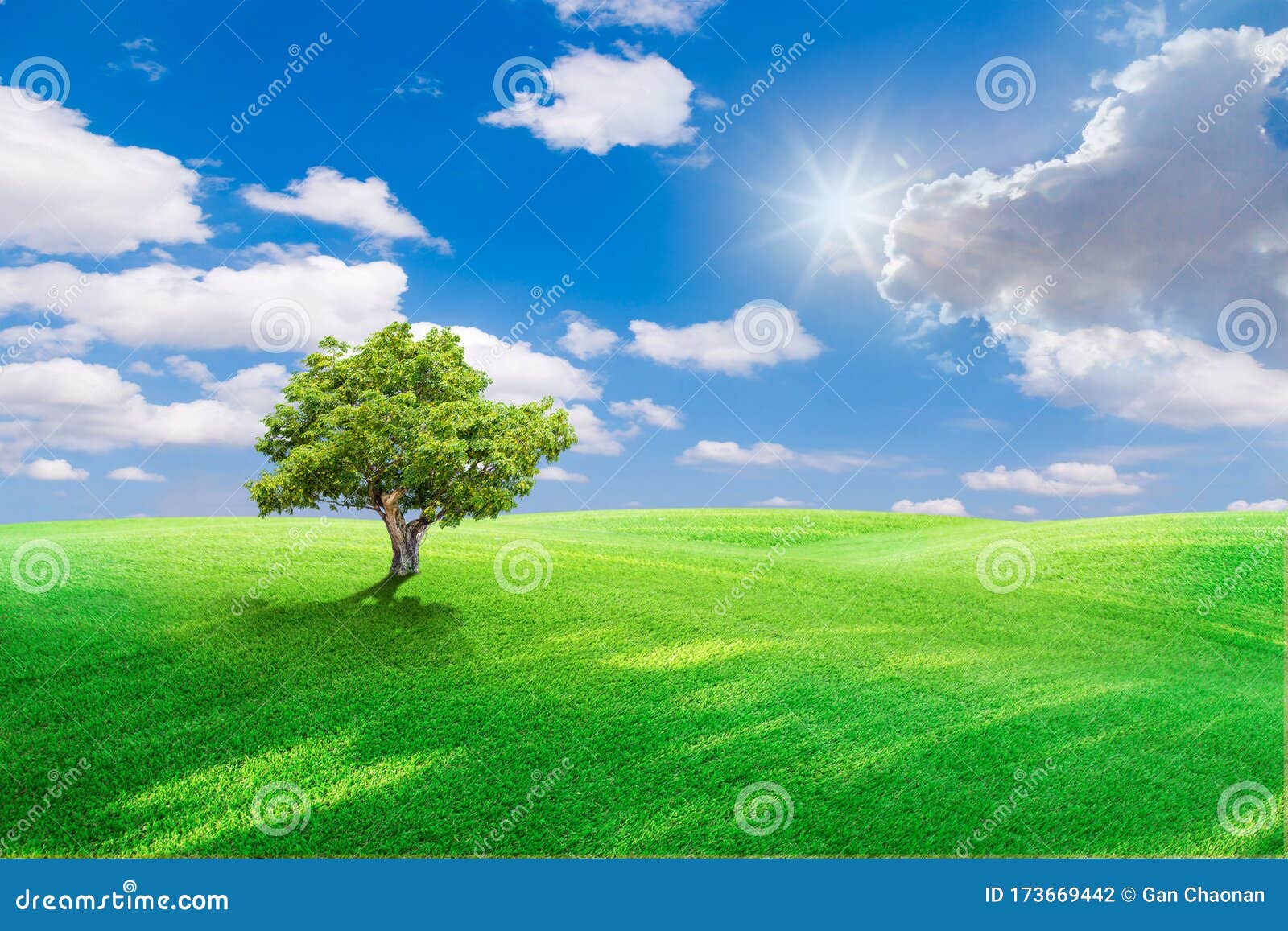 Green Field and Blue Sky with Light Clouds,Image of Green Grass ...