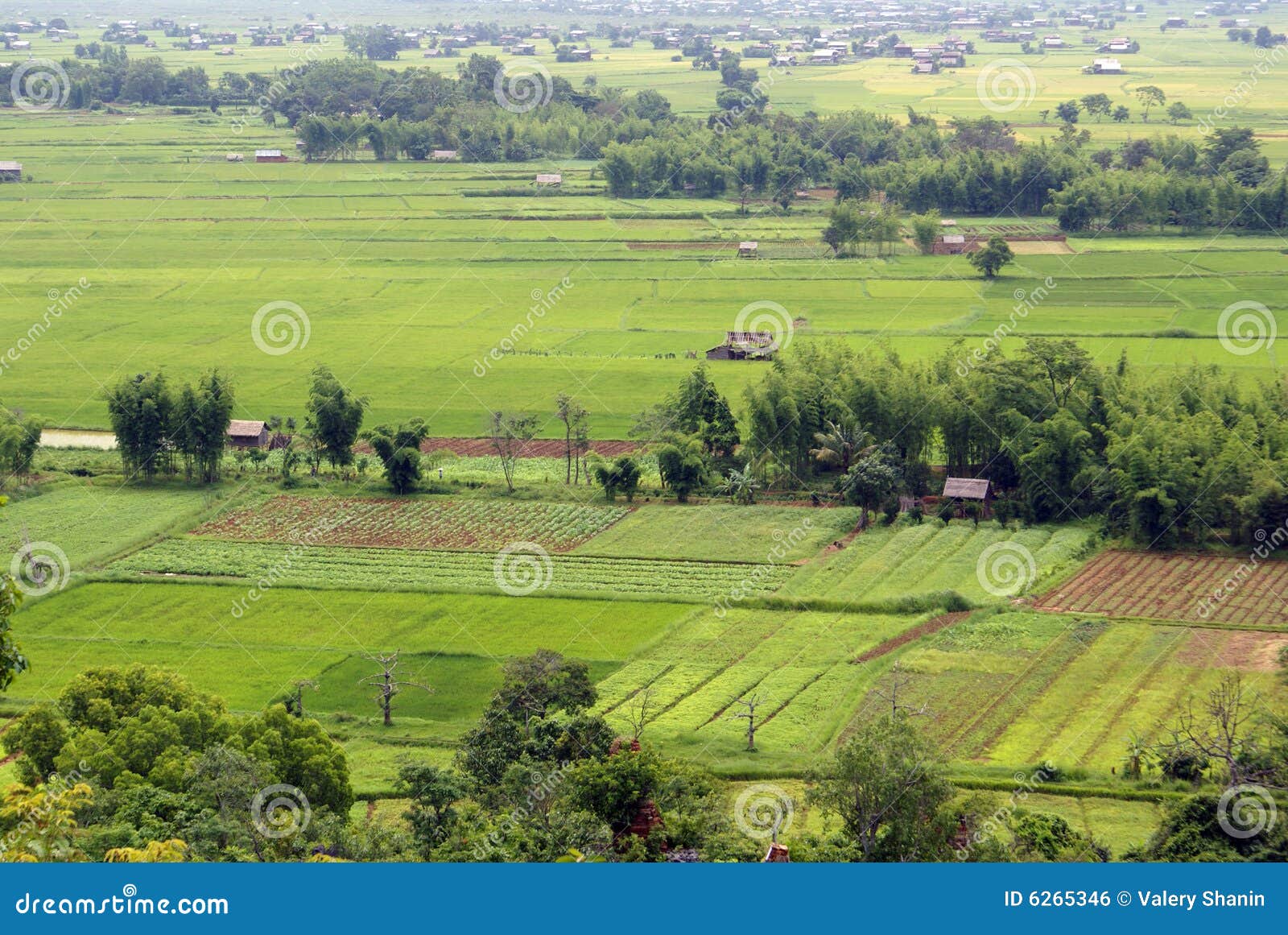 Green Field with Farm Houses Stock Photo Image of field, viewpoint
