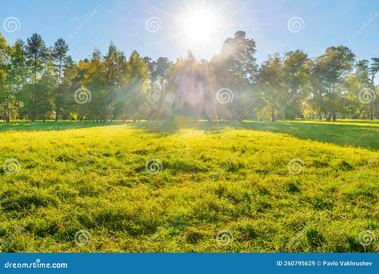 Green Field and Forest at Sunset Stock Image Image of beams, sunbeam