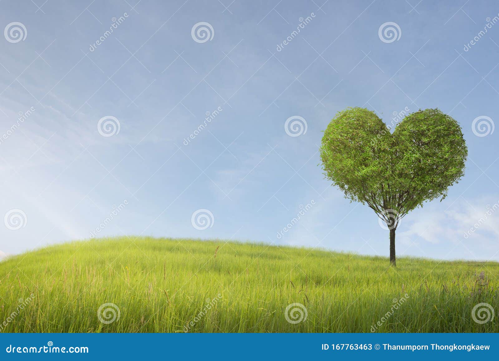 Green Field With Heart Shape Tree Under Blue Sky Beauty Naturefor